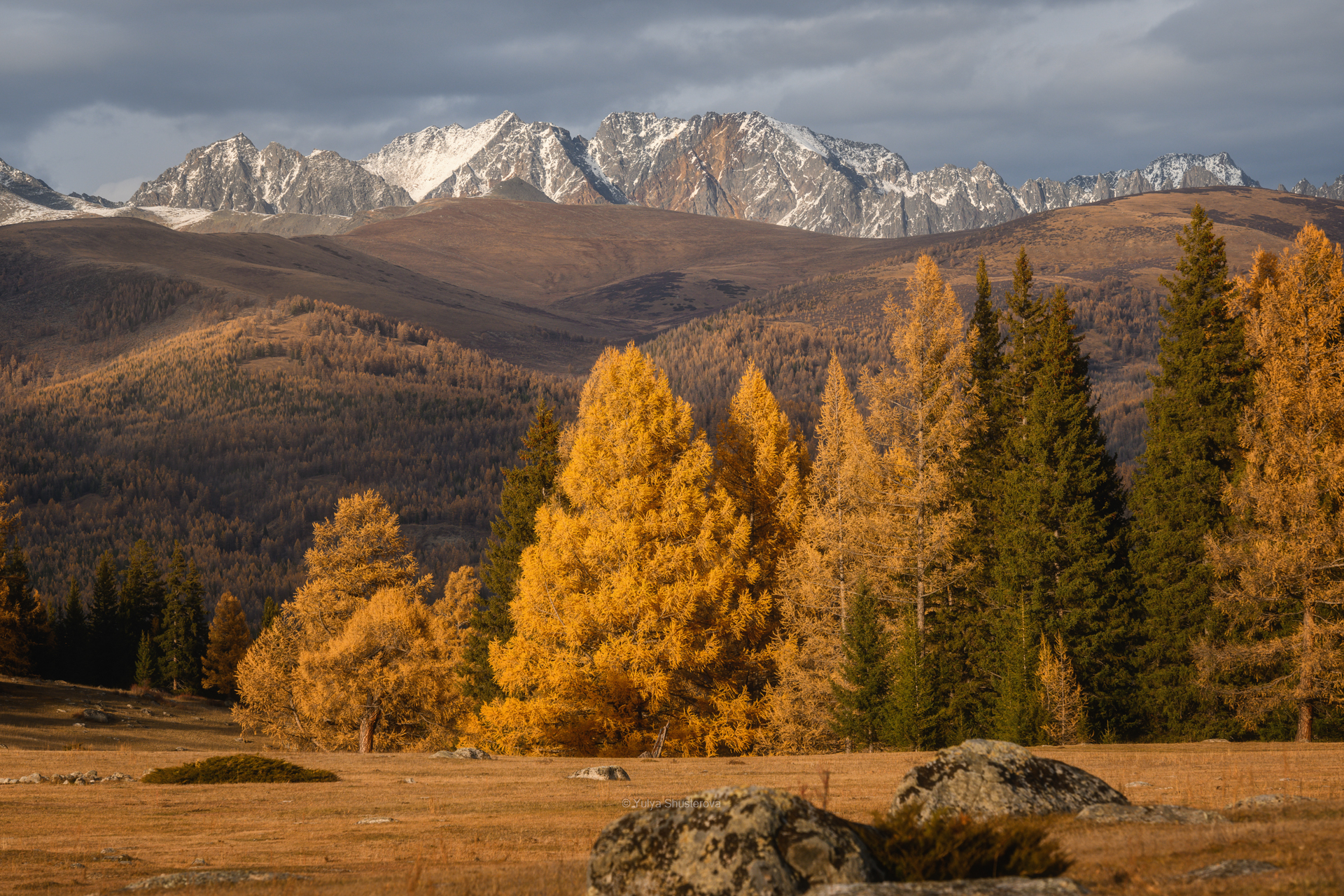 джазатор,горный алтай, Юлия Шустерова