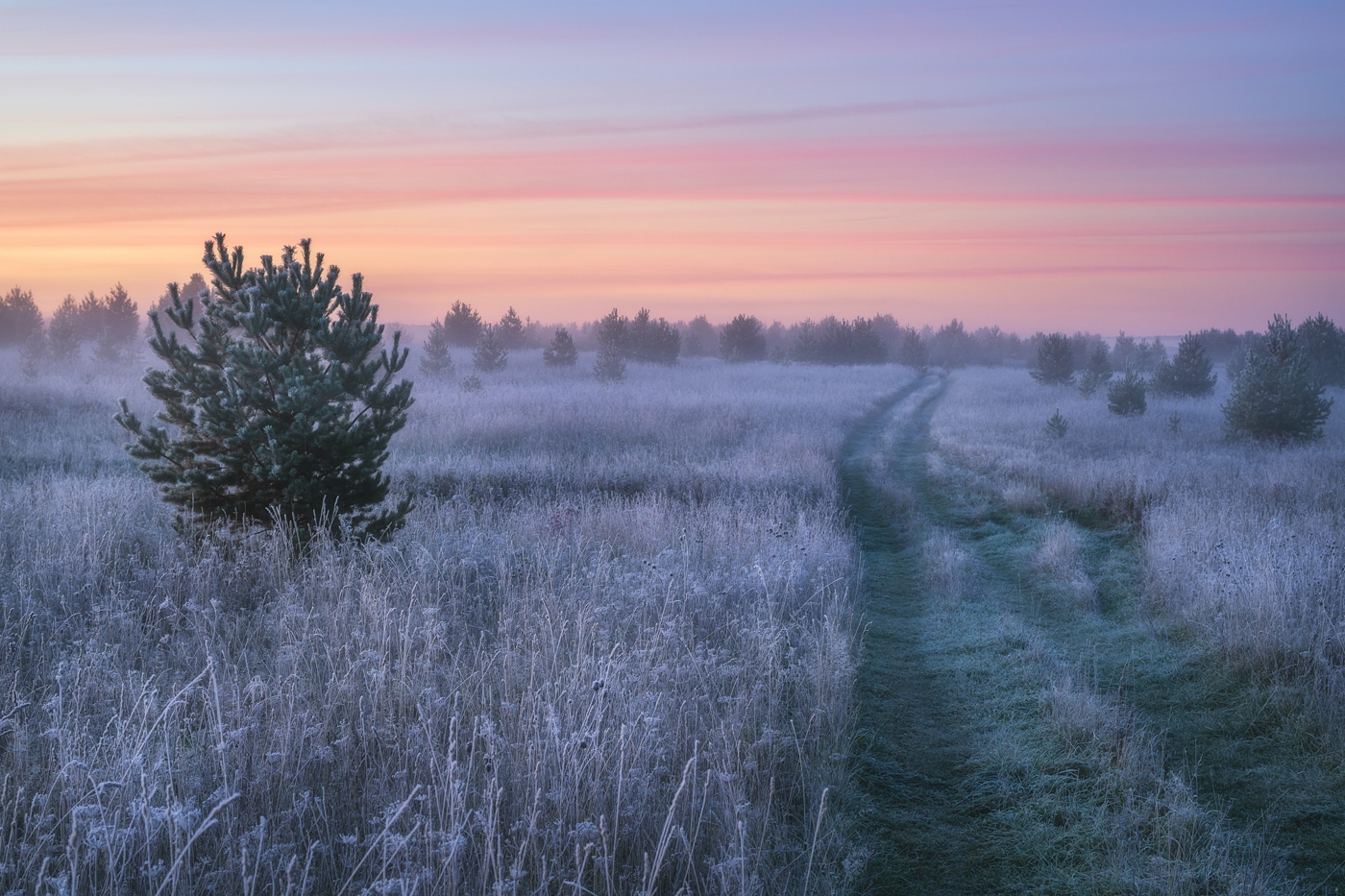 , Михаил Устюжанин