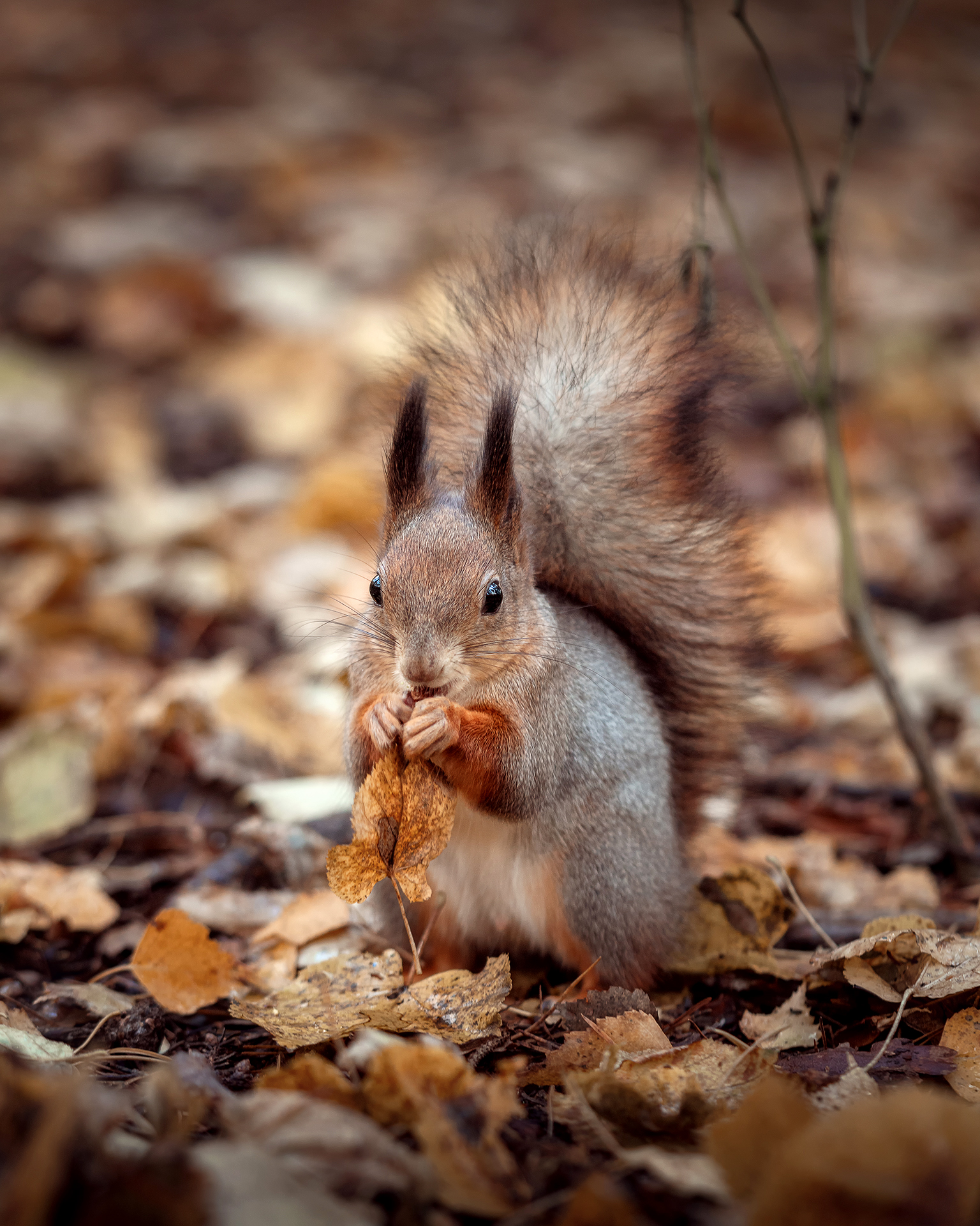 , Завьялова Людмила!