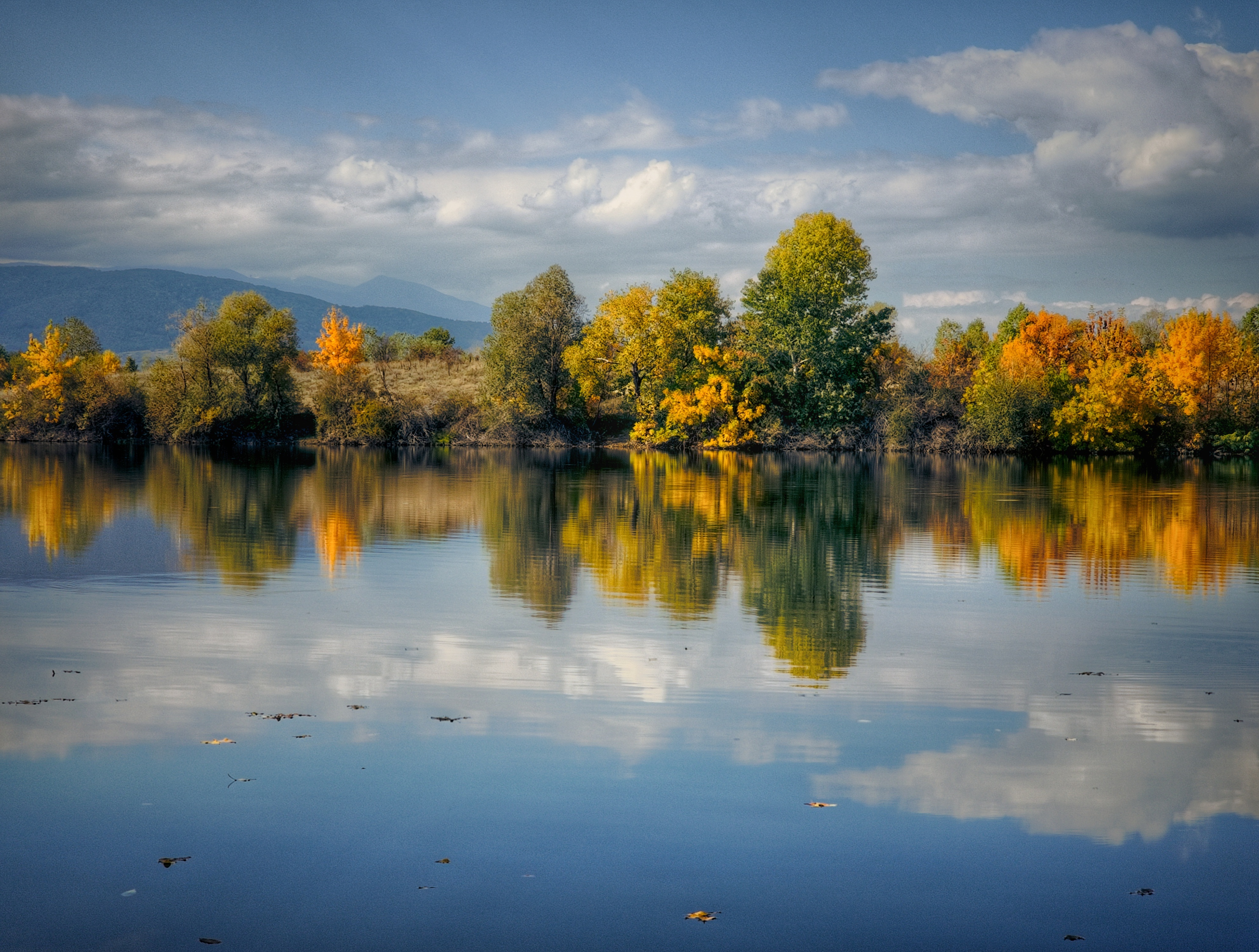 , Герчев Николай