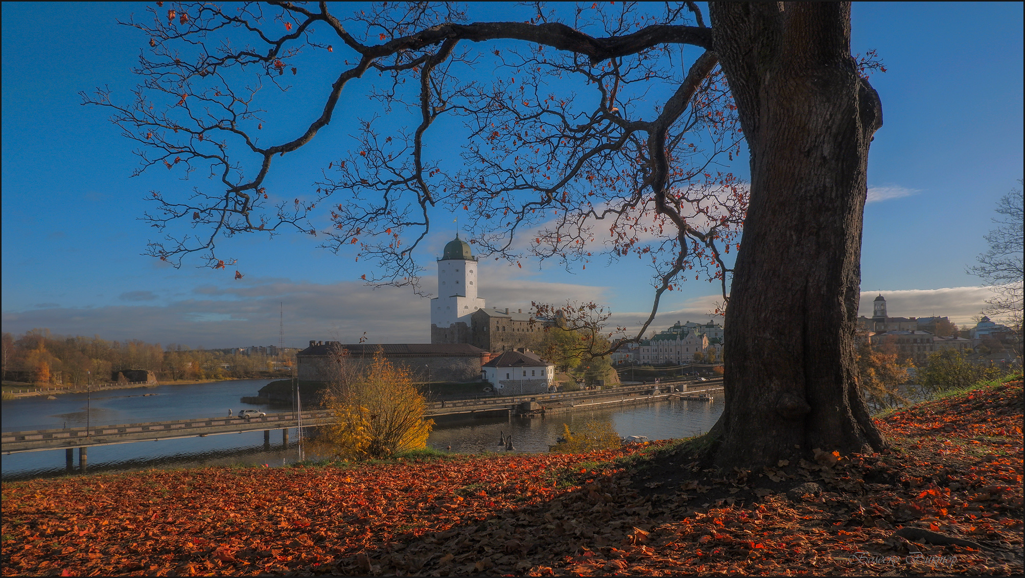 , Болеско Виктор