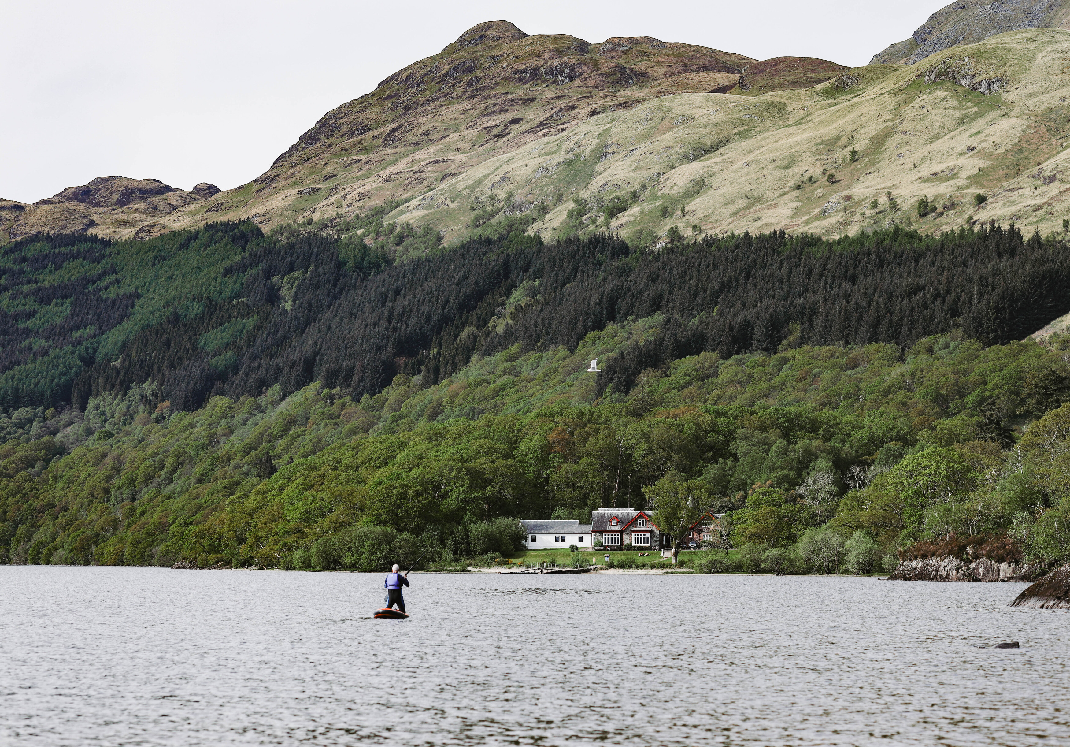 природа, Алина Шаховская-Константинова