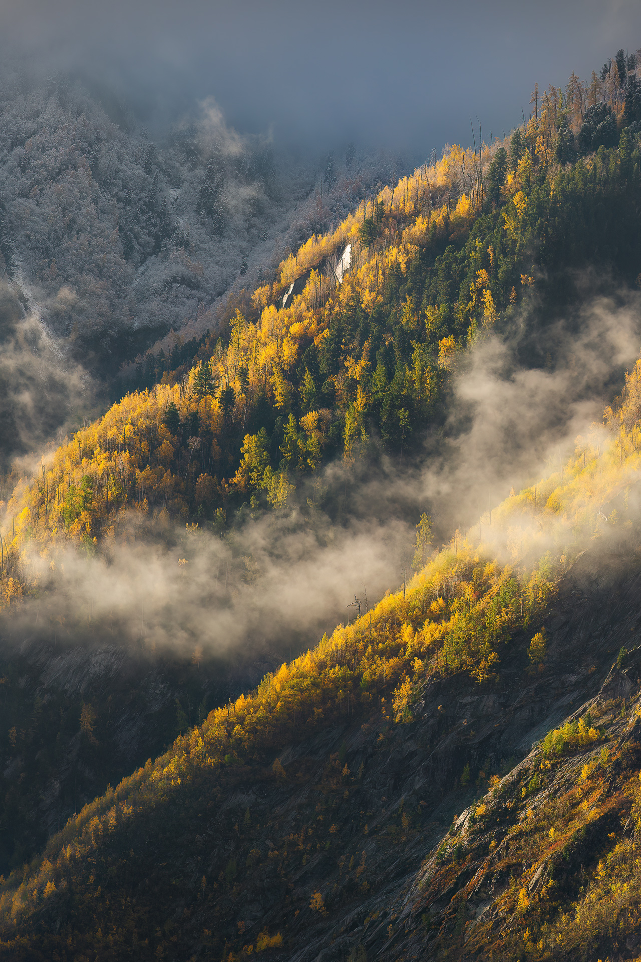 , Константин Маланин