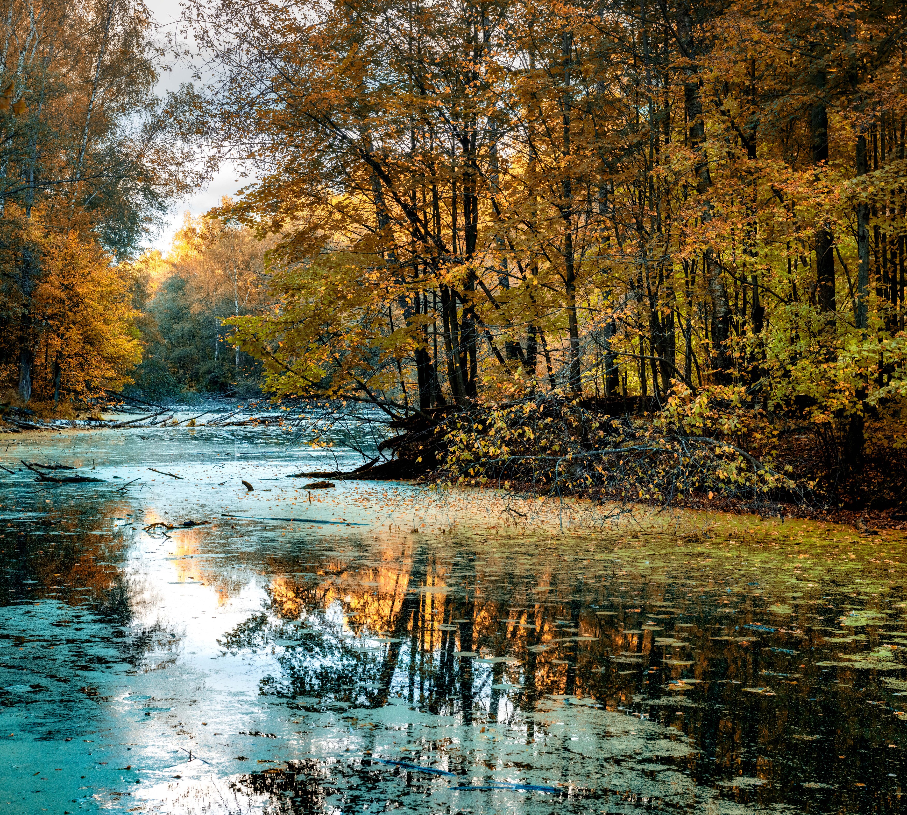 , Павел Ныриков