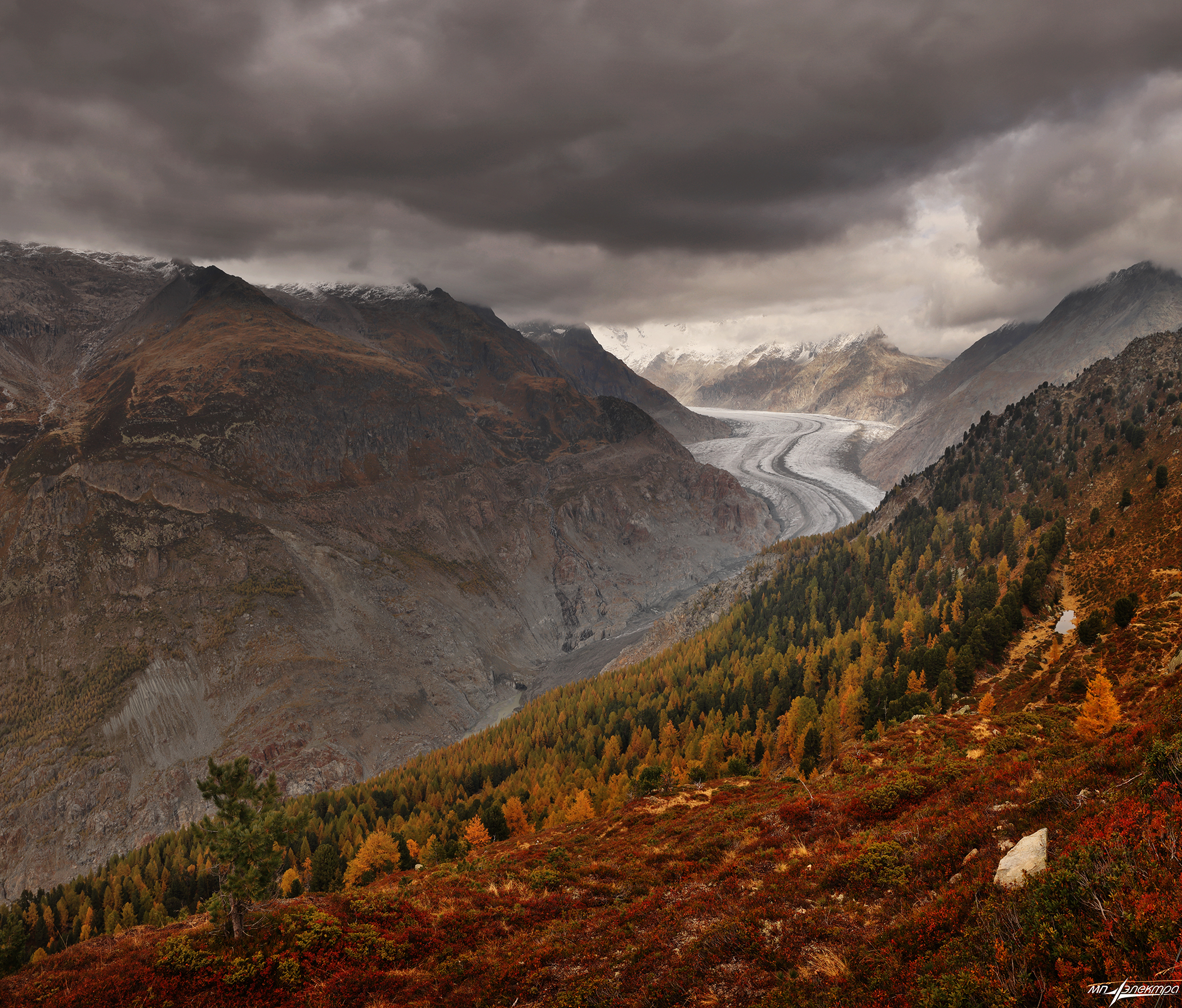 swiss, Матвеев Николай