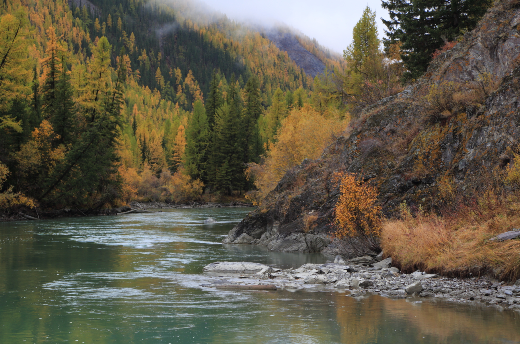 , Евгений Зинов