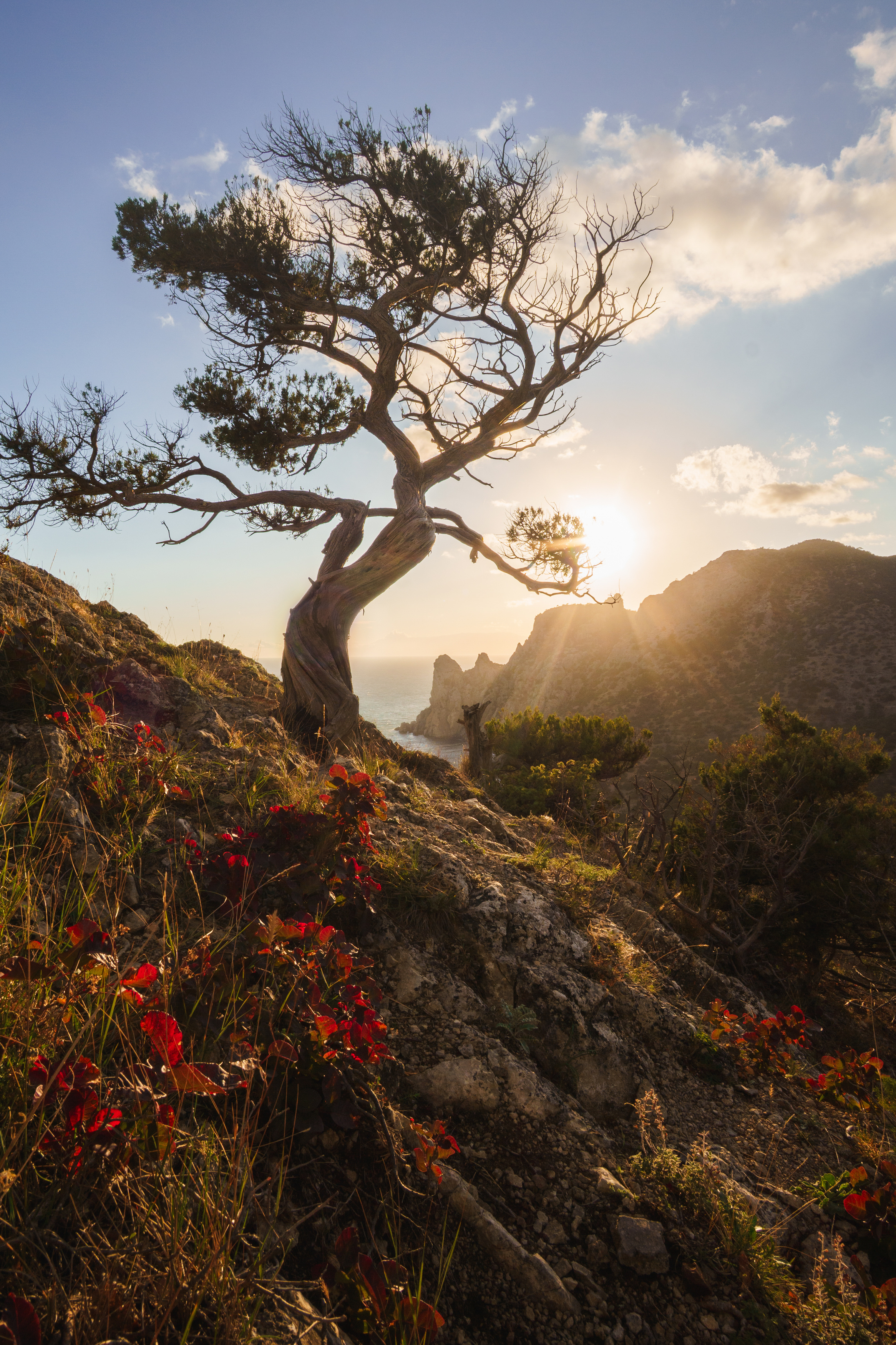 , Кривцов Андрей