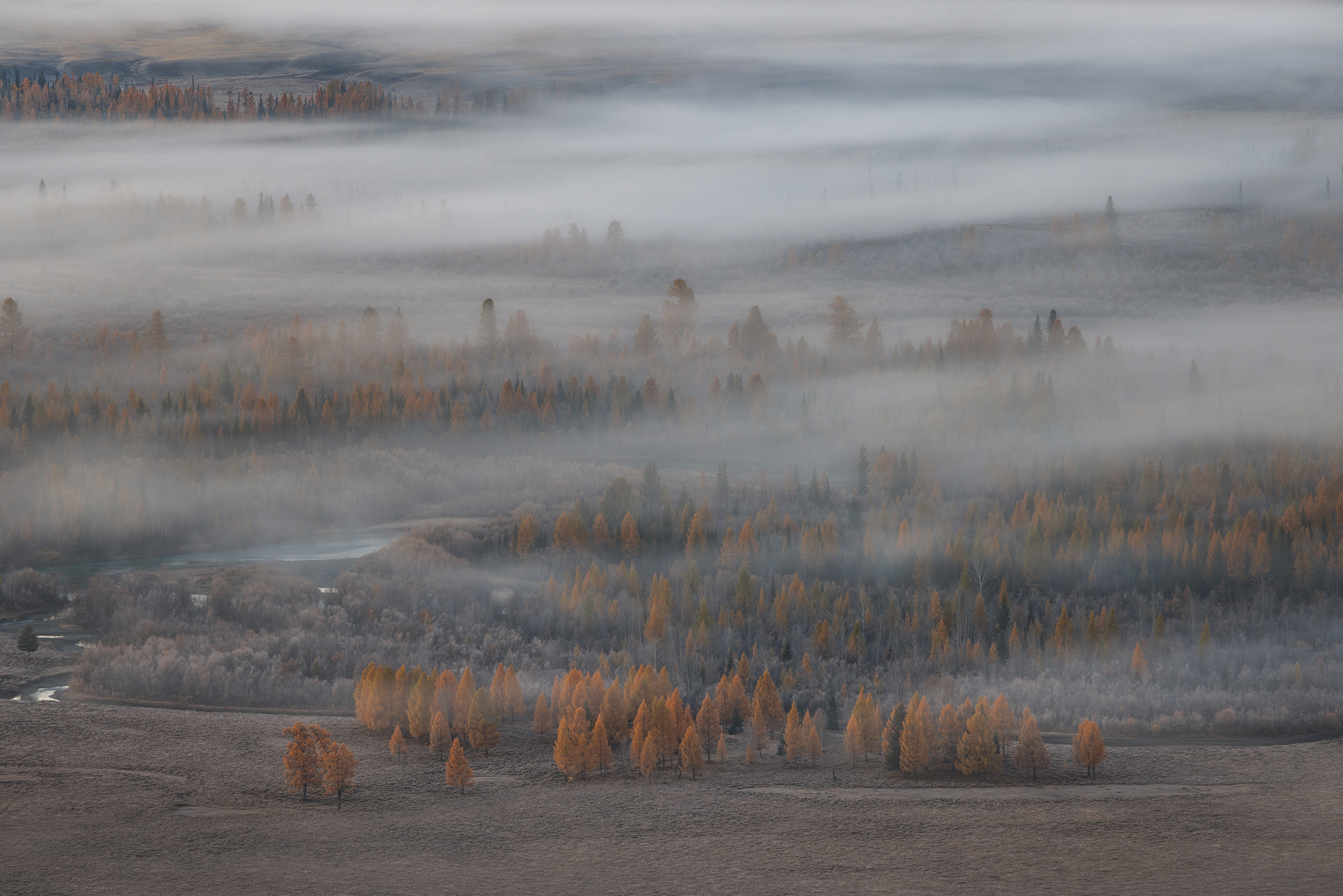 , Морозов Сергей