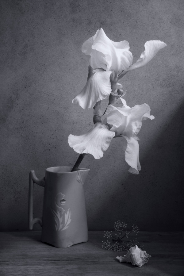 , Елена Колеснева