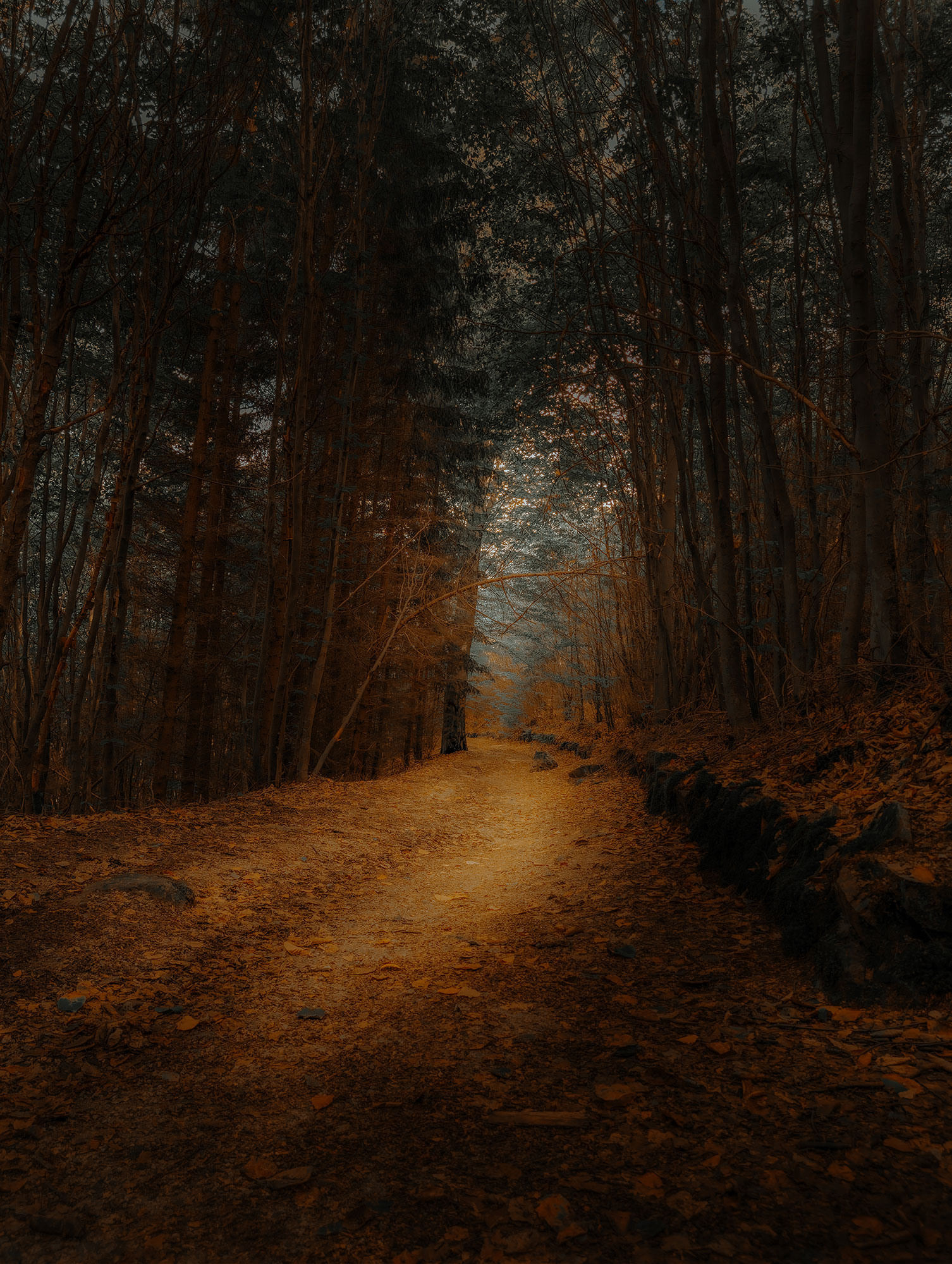 , Валерий Вторыгин