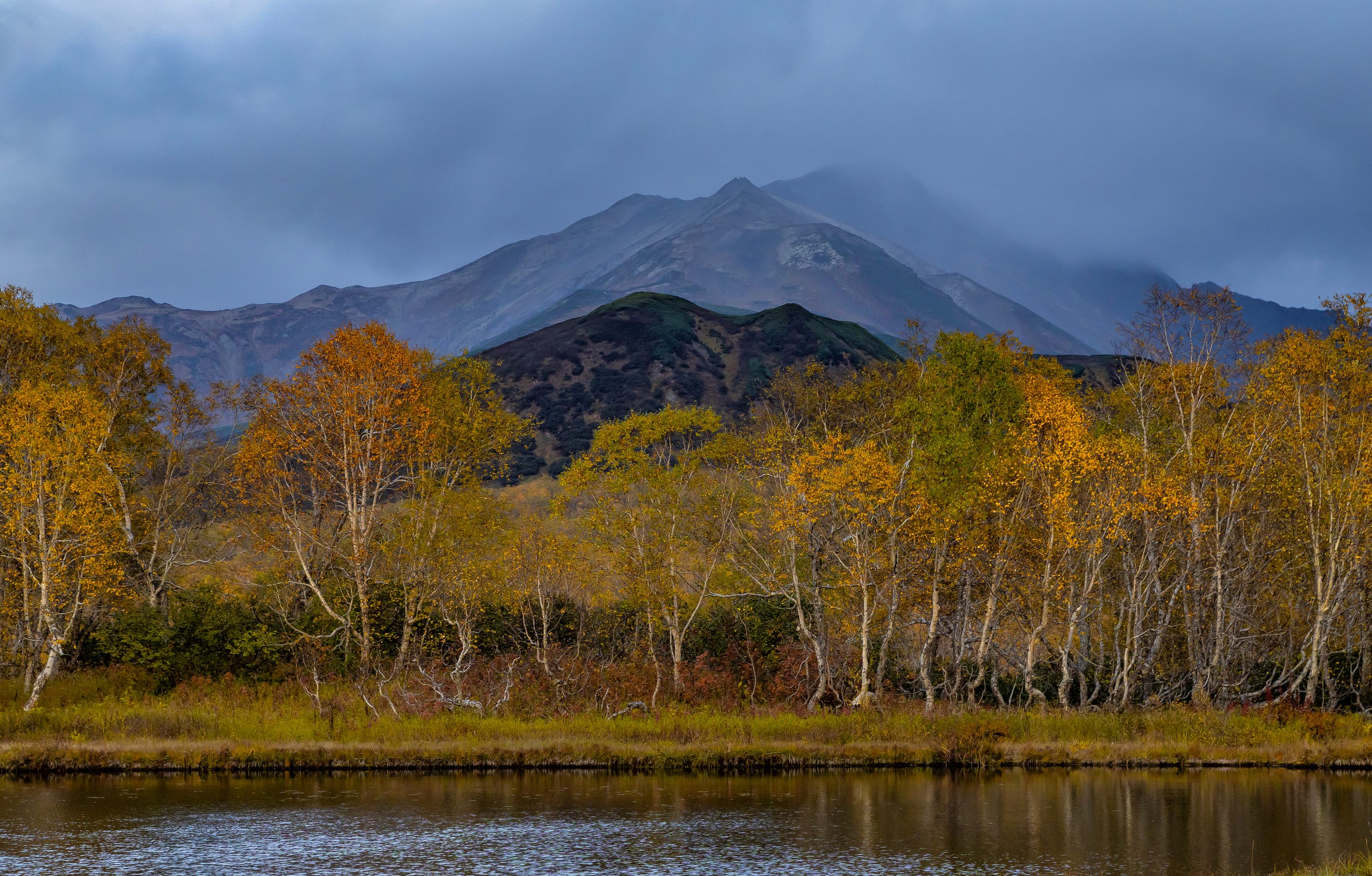 камчатка, вачкажец, осень, природа, березы, Подосинников Максим
