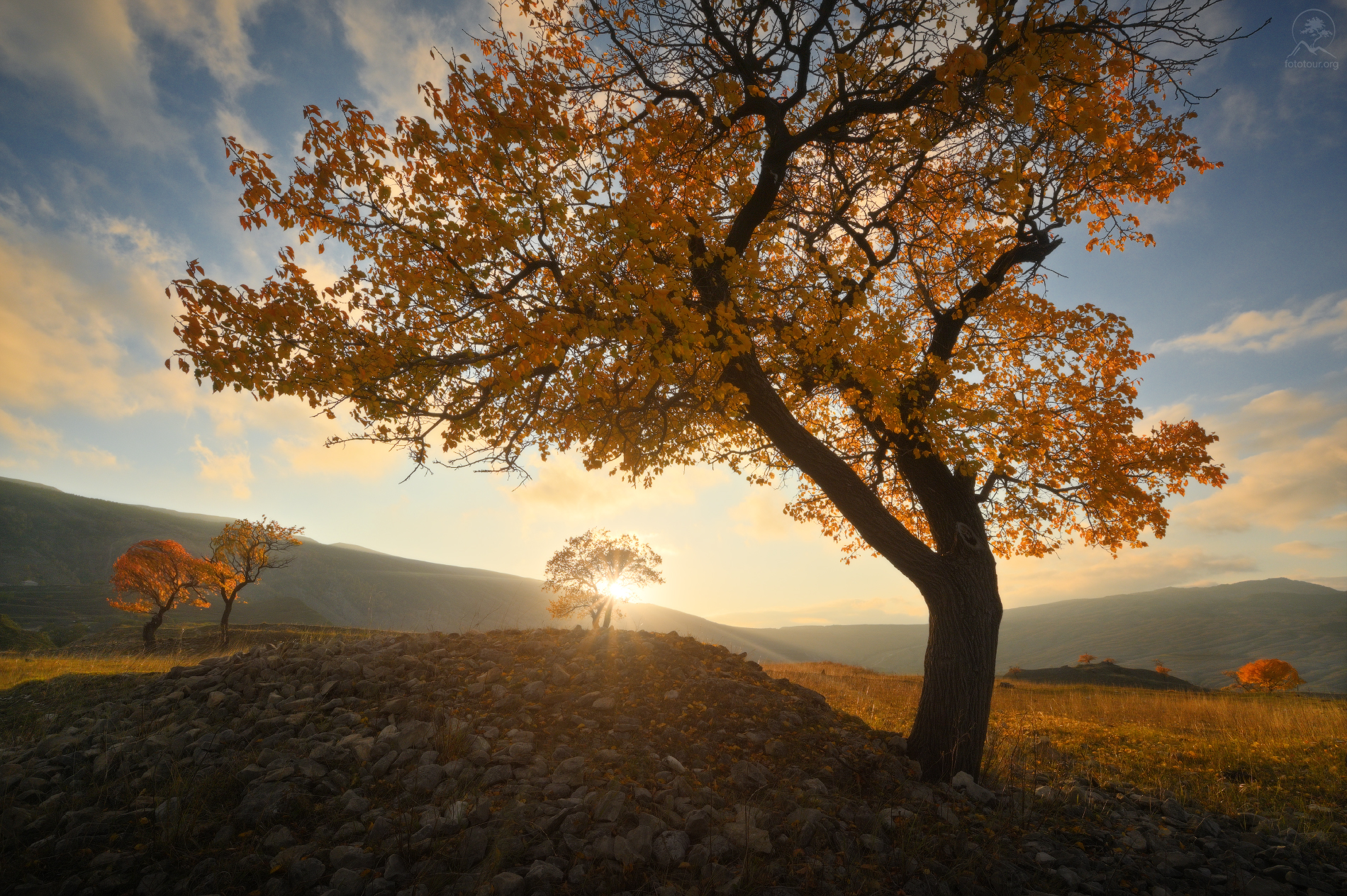 дагестан, деревья, осень, горы, террасы, чох, фототур в дагестан, Гордиенко Анатолий