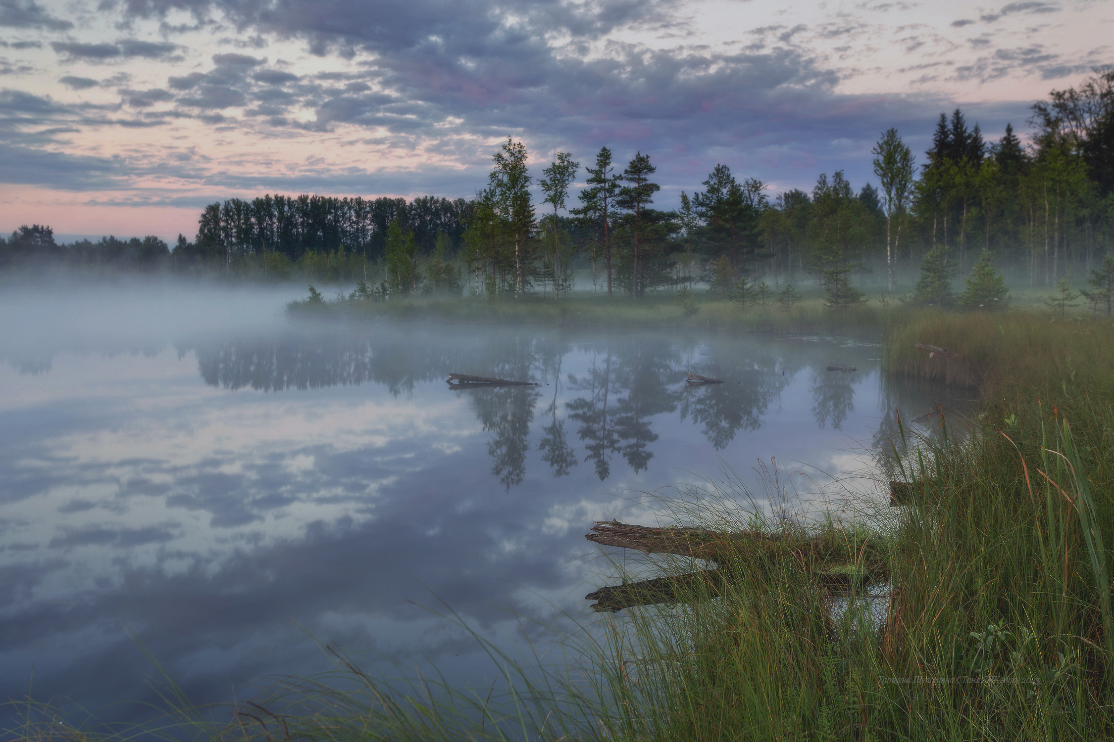 луга, ленобласть, пейзаж, рассвет, туман,  landscape, nature, природа, foggy, forest, болото, белая ночь, ленинградская область, Щепотина Татьяна