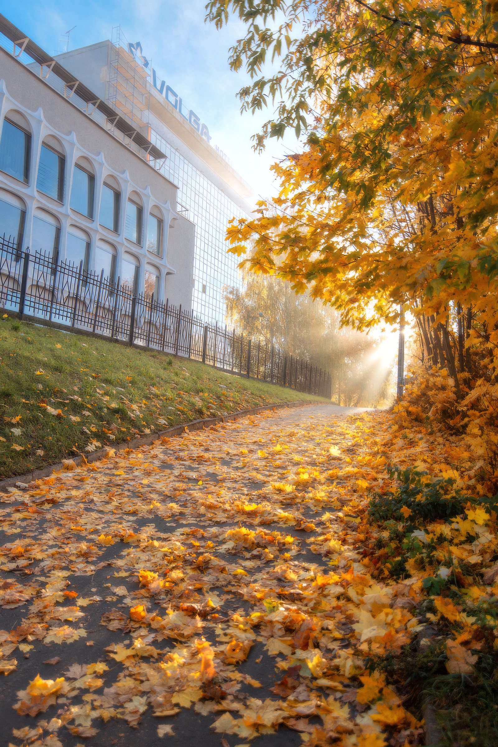 осень, листва, восход, город, Макаров Роман