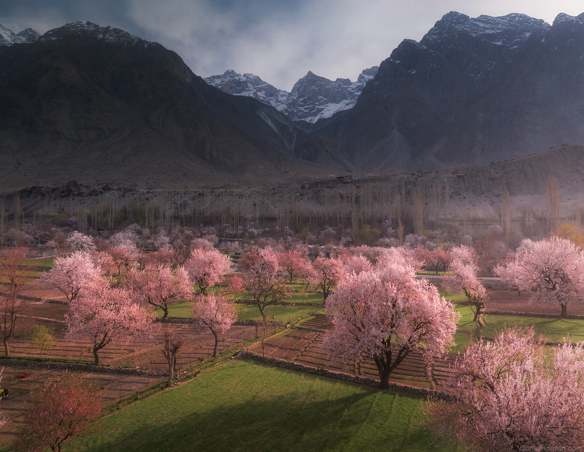 , Даниил Коржонов