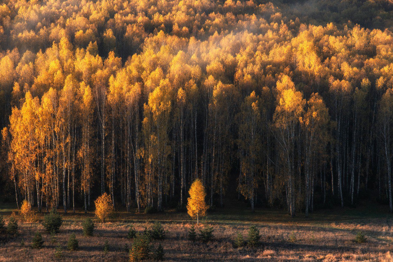, Андрей Малыгин
