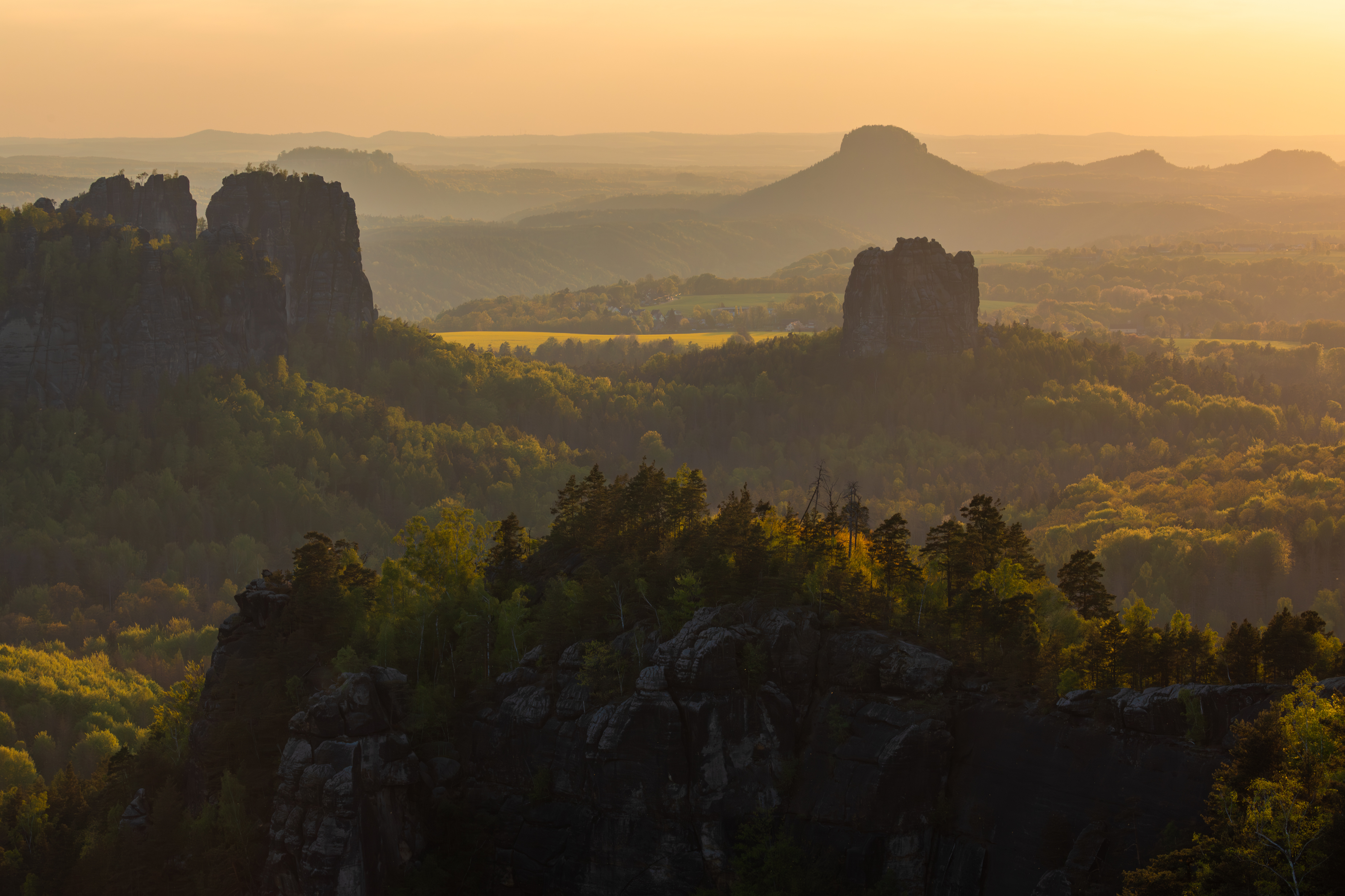 , Евгения Чех