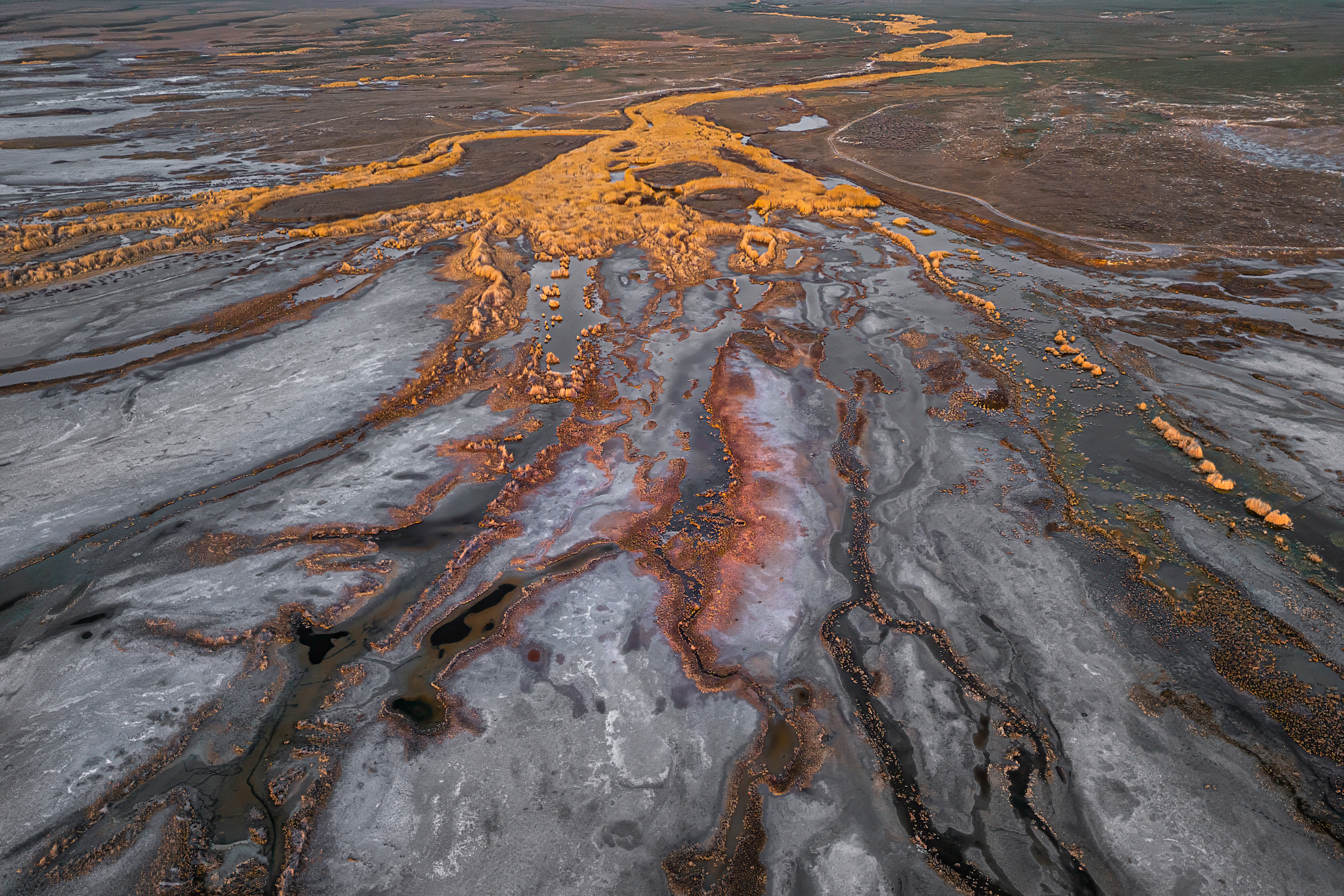 , Михаил Харитонычев