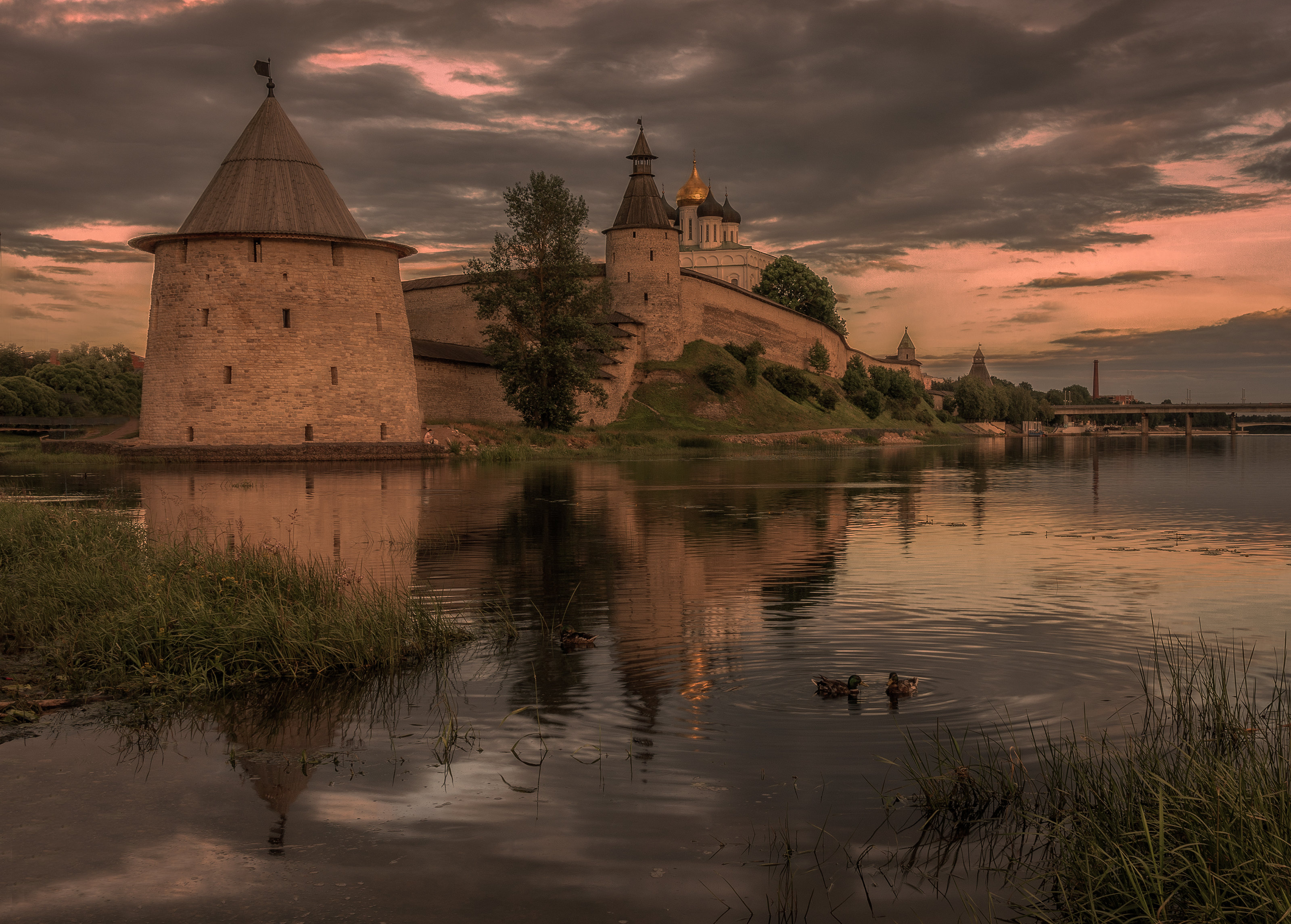 Псковская область, Гусева Елена