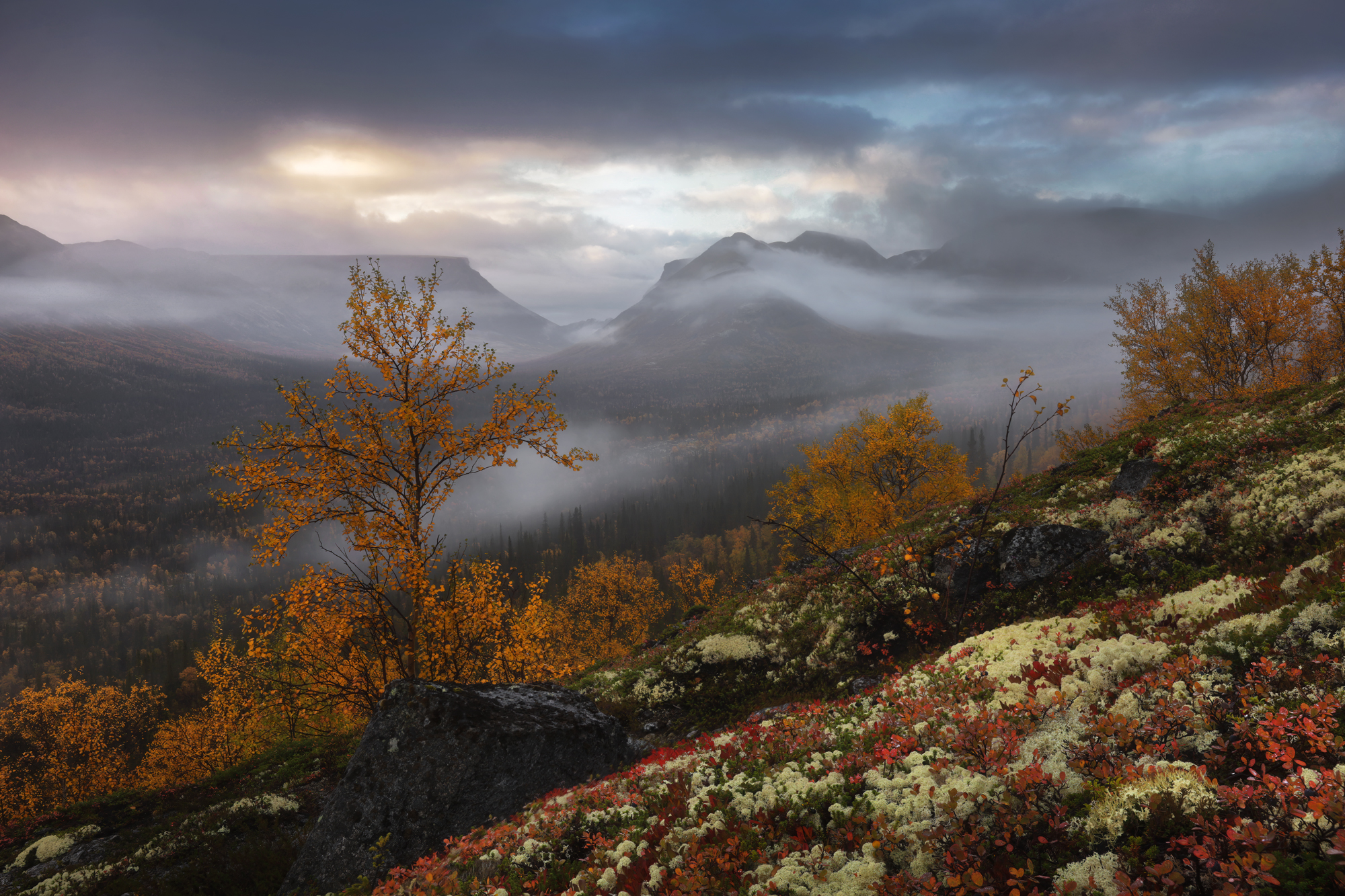 , Столыпин Юрий