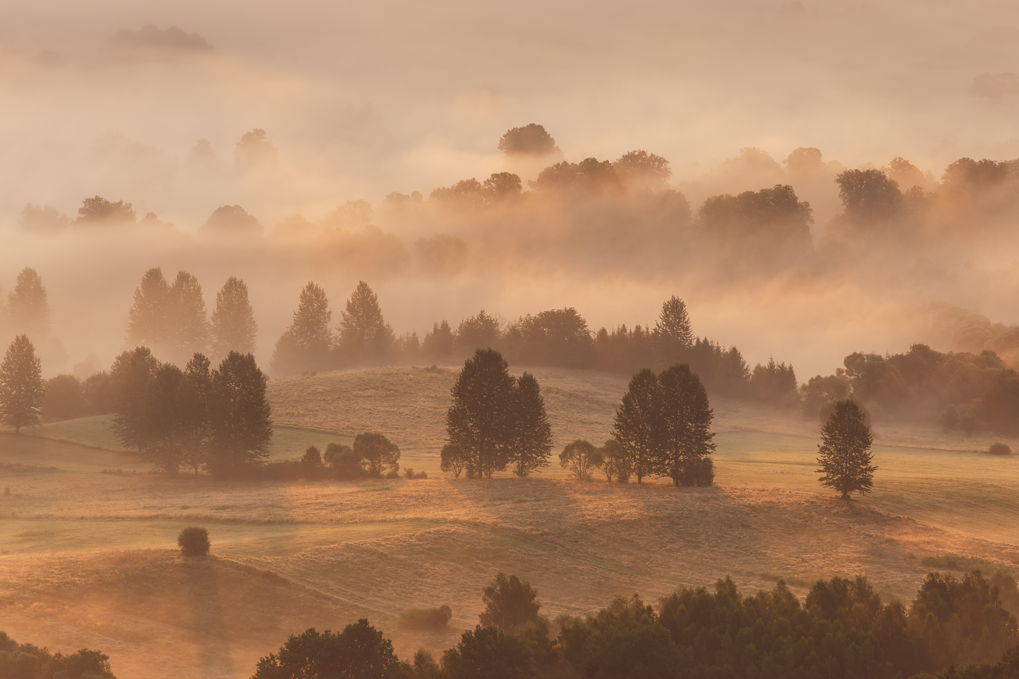,  Mirosław Pruchnicki