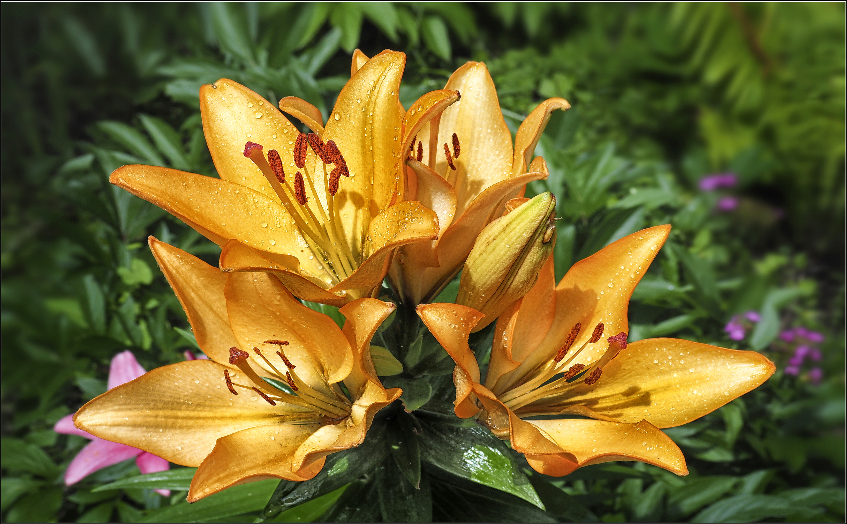 , Ушаков Валерий