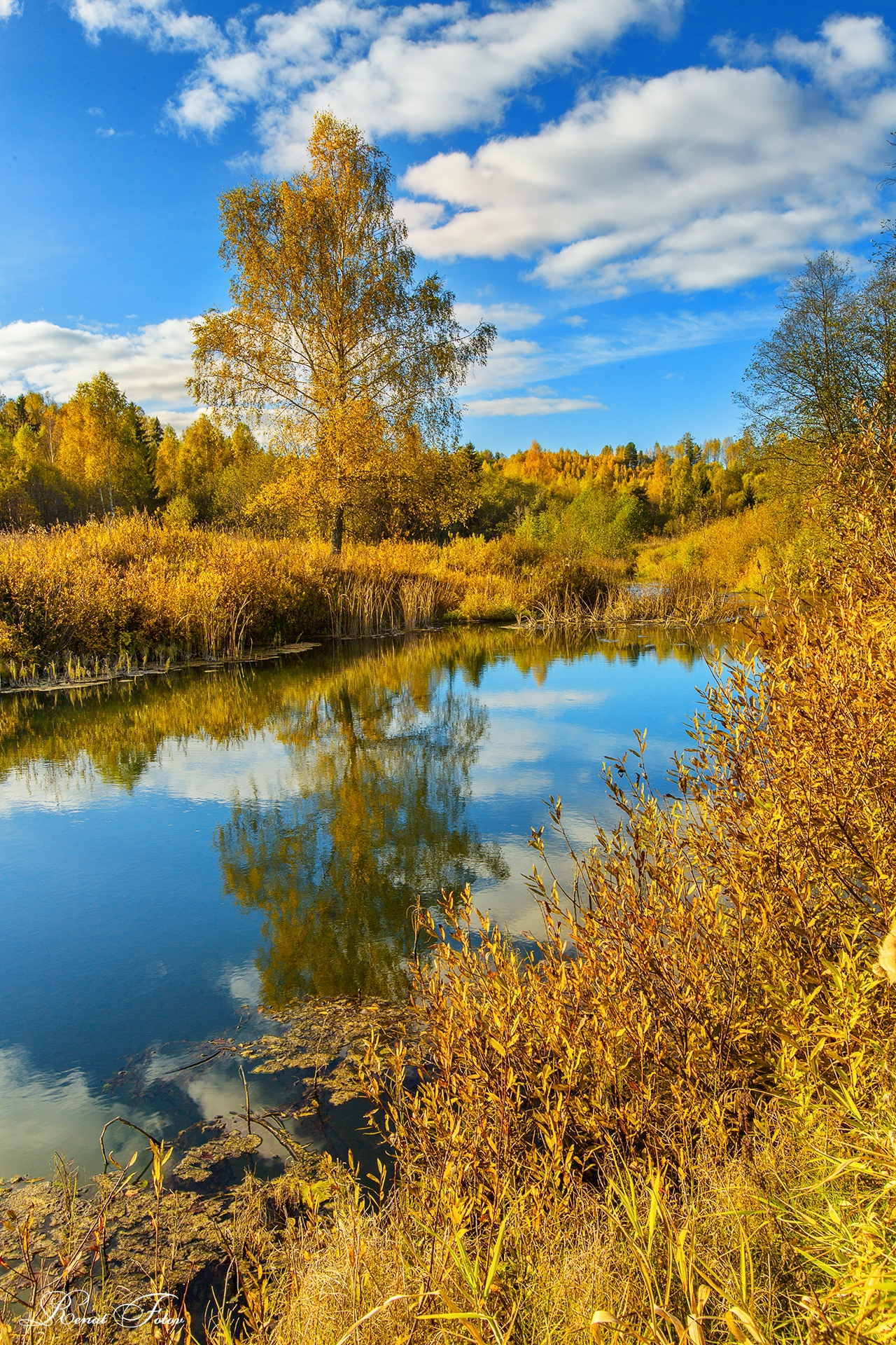 , Фотов Ренат