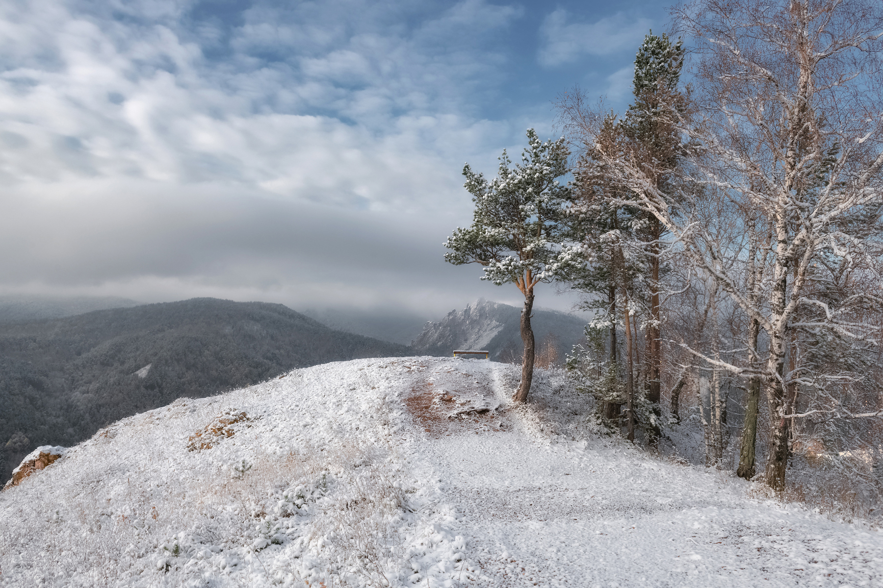 торгашинский хребет, такмак, сосна, солнце, снег, осень, енисейская сибирь, Марина Фомина