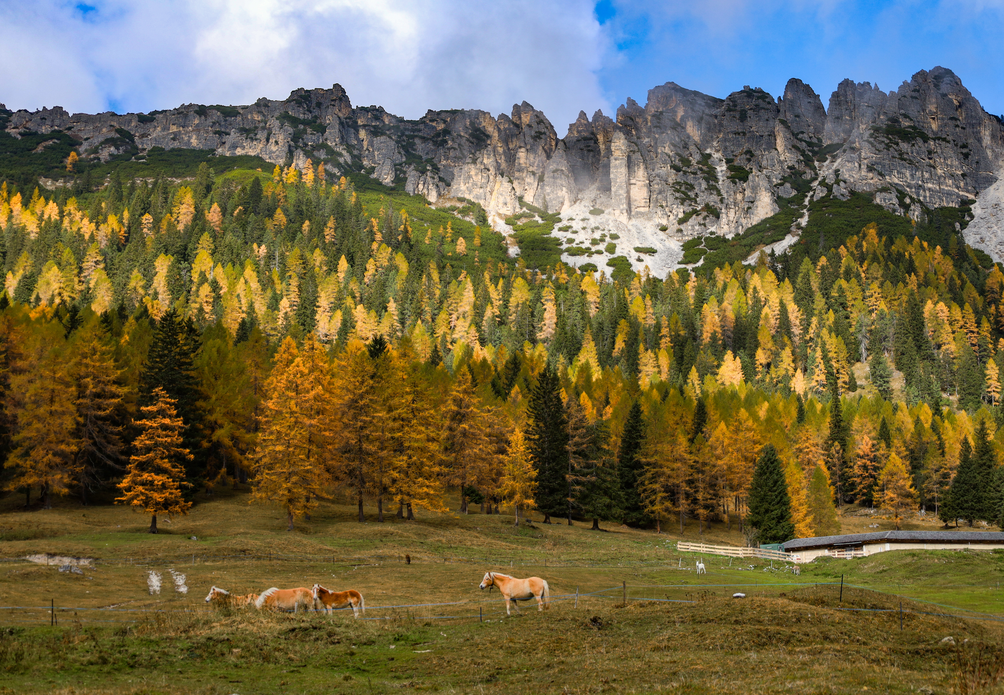 , Вадим Городницкий