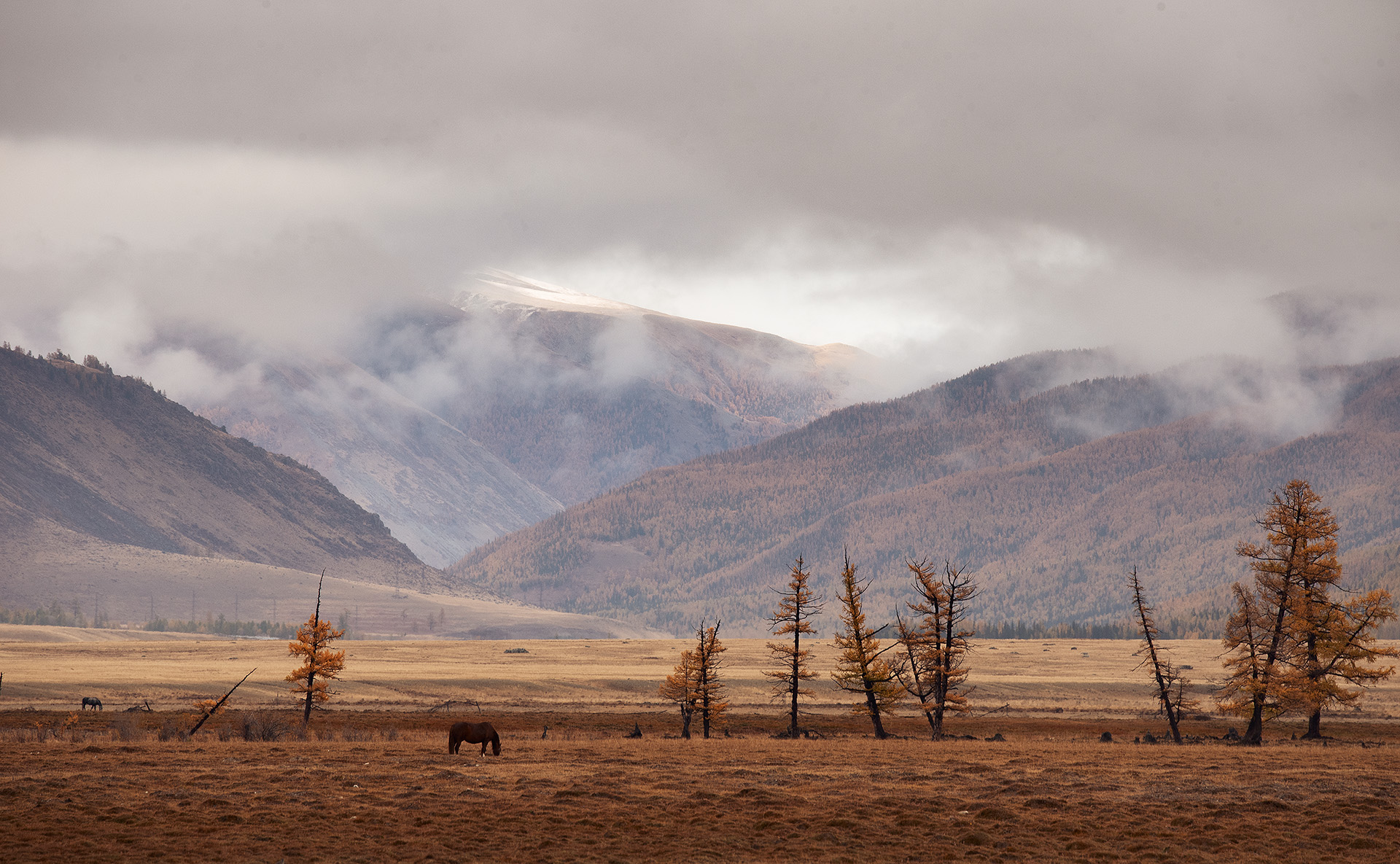 , Анастасия Петрова