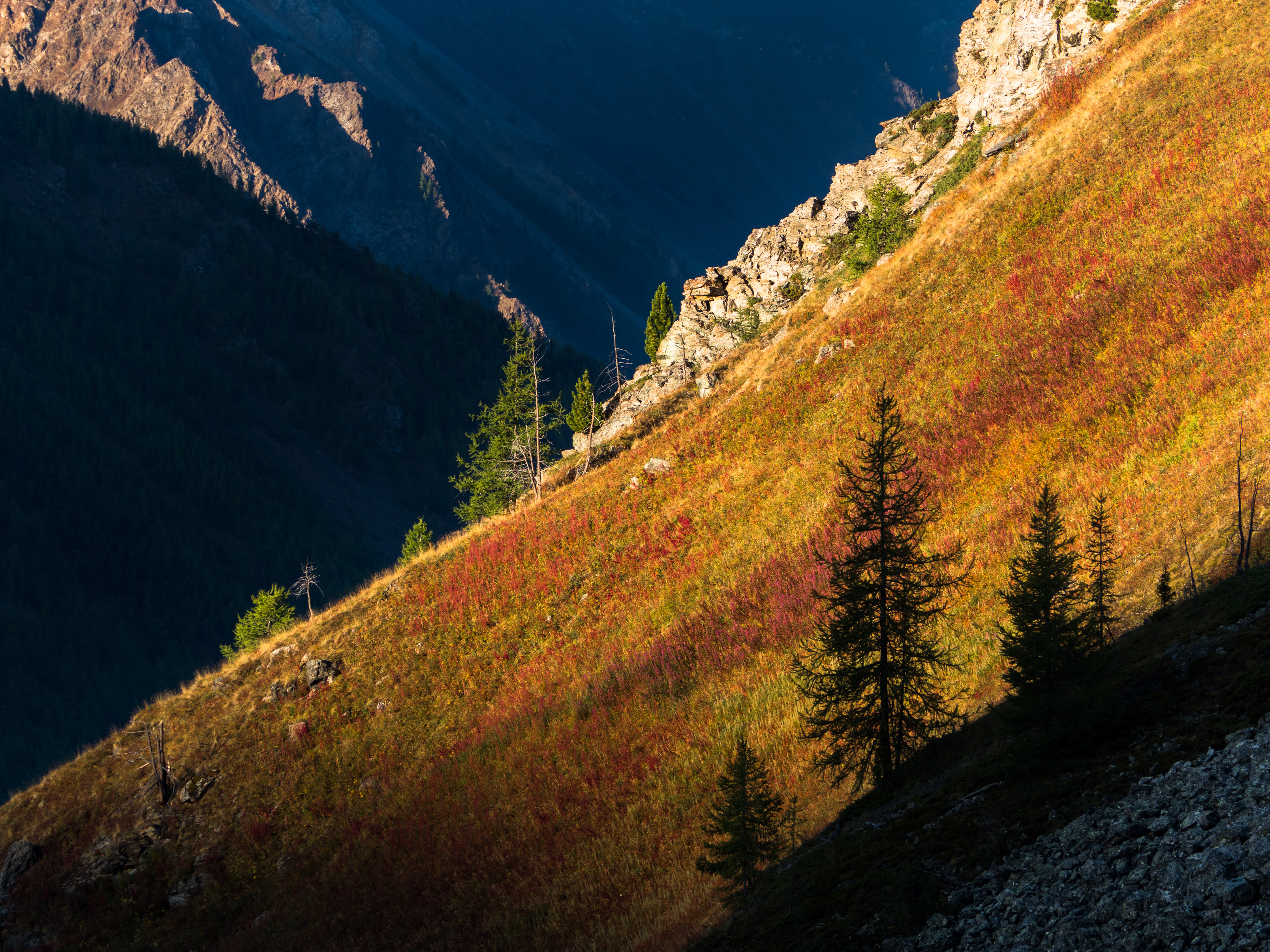 алтай, рассвет, Станислав