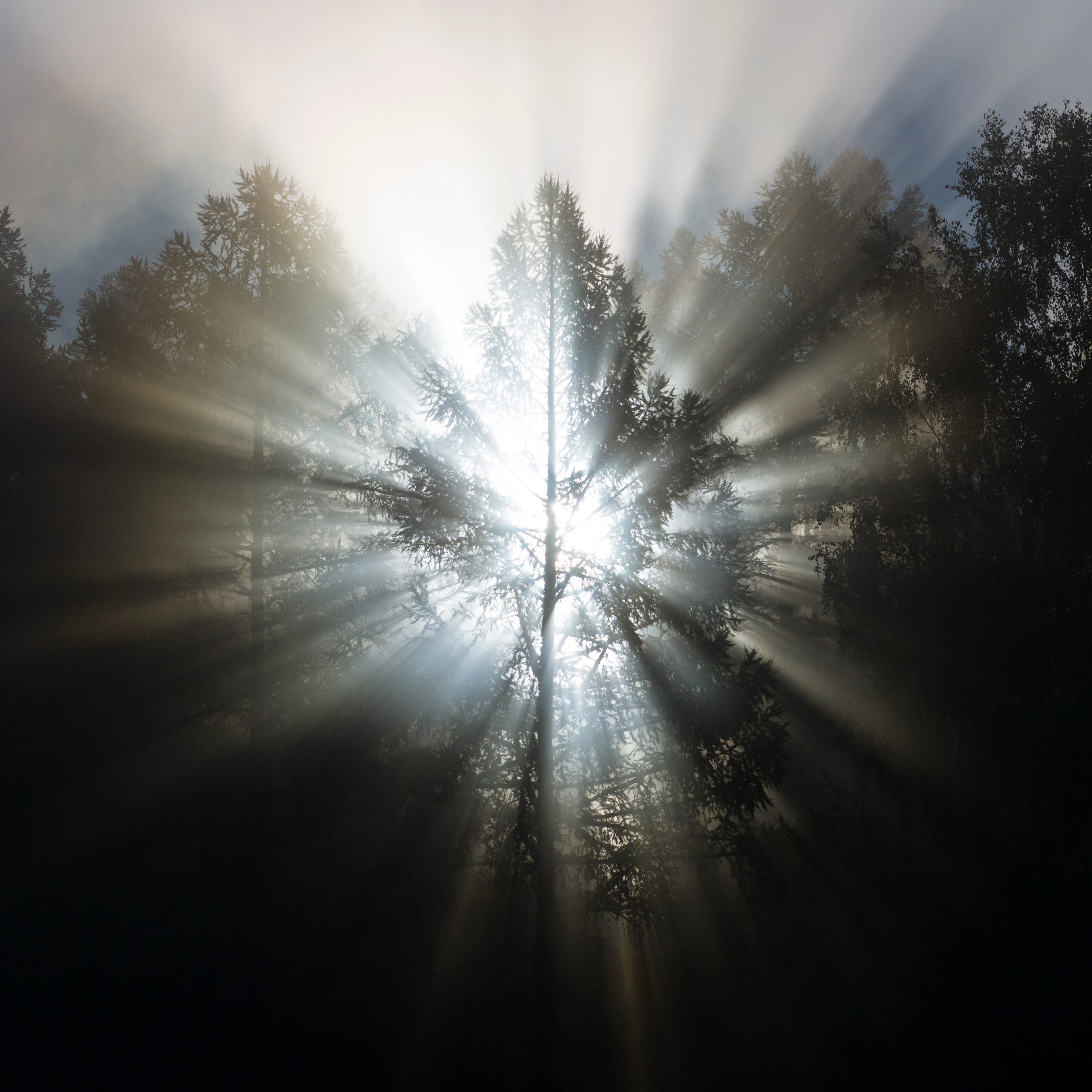 , Станислав