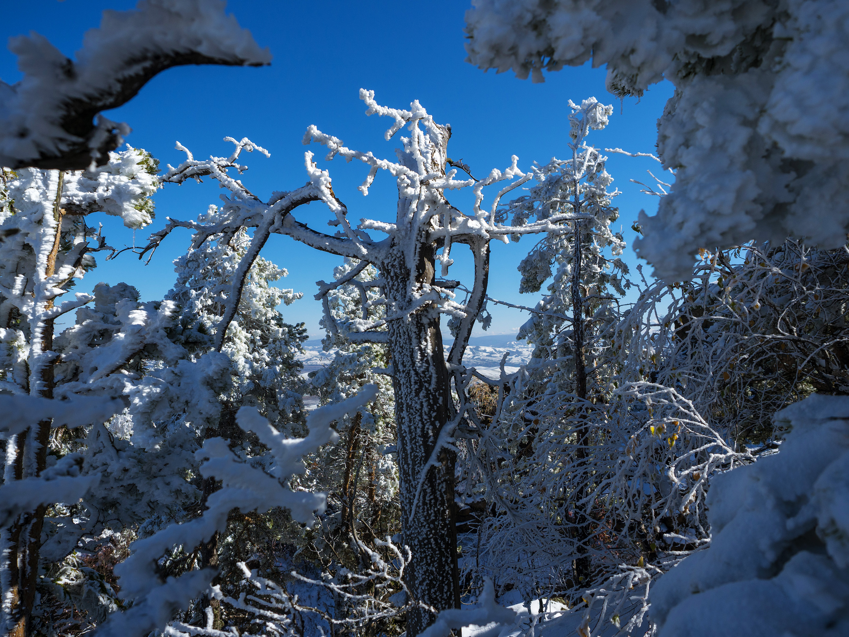 , Станислав