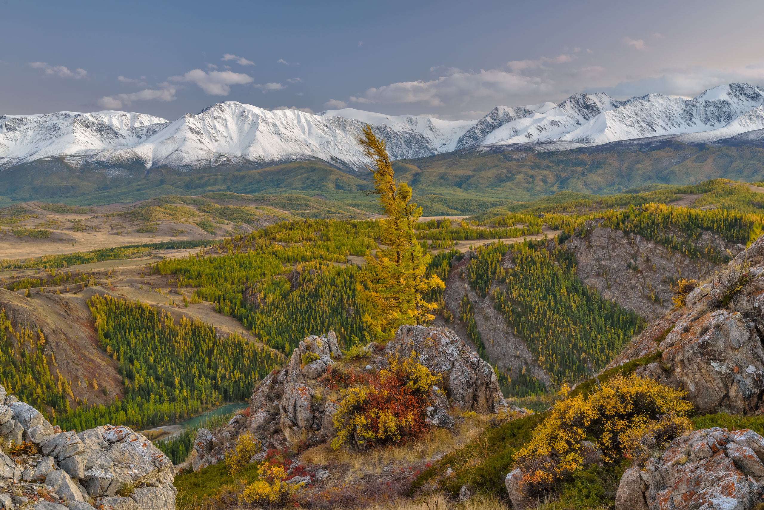 алтай, курайская степь, курайский хребет, Григорашев Денис
