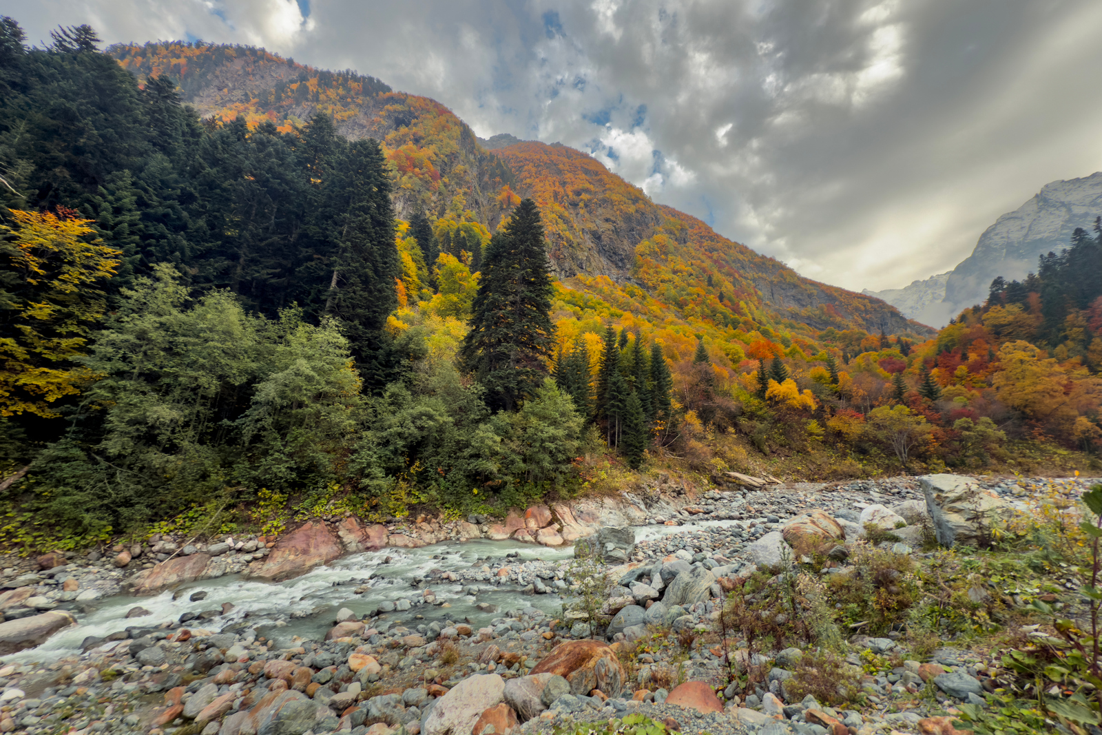 , Игорь Денисов