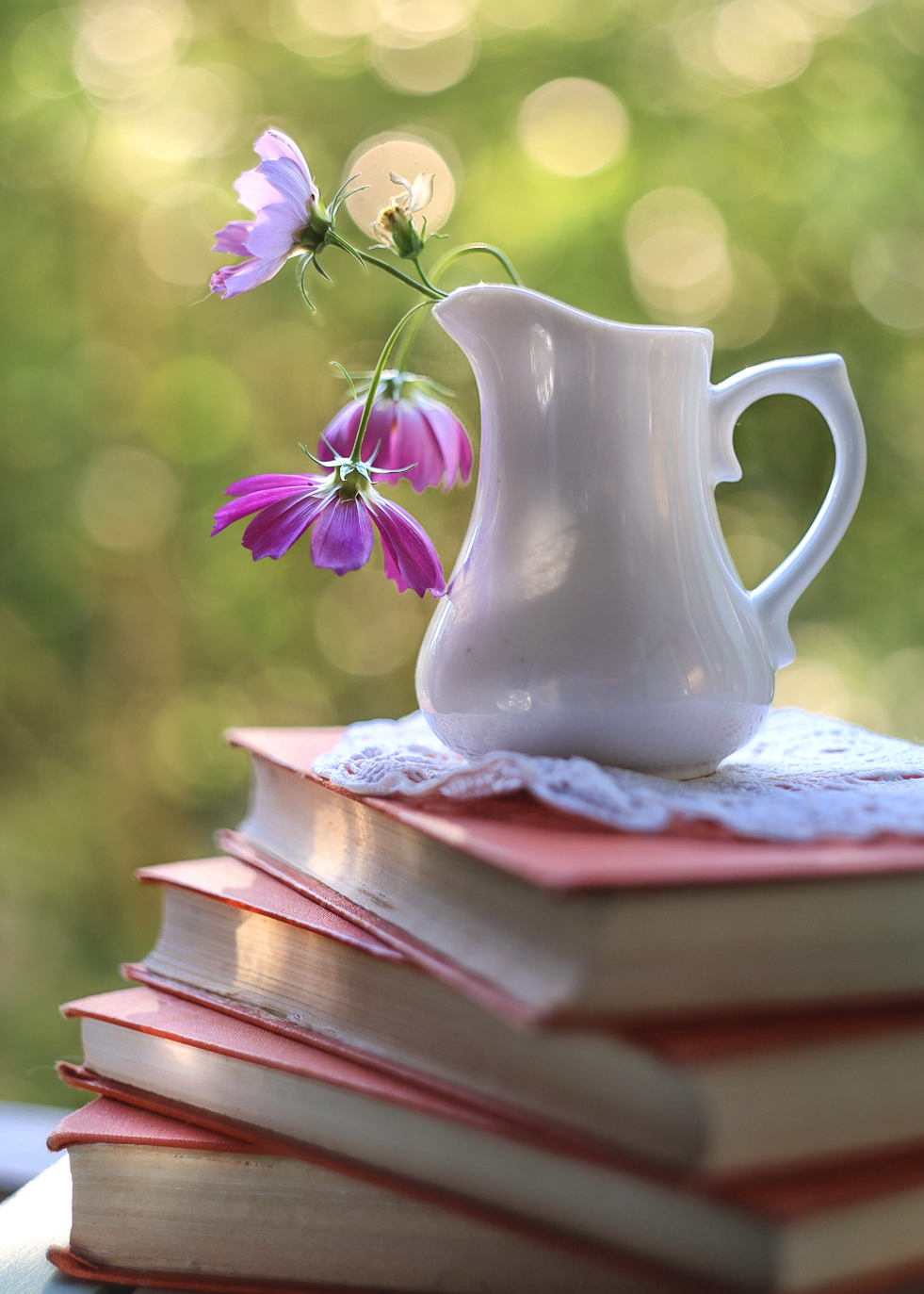 космея, книги, мысли,беларусь, ирина горюкина , объектив гелиос ,стихи дмитрий кравченко, ИРИНА ГОРЮКИНА