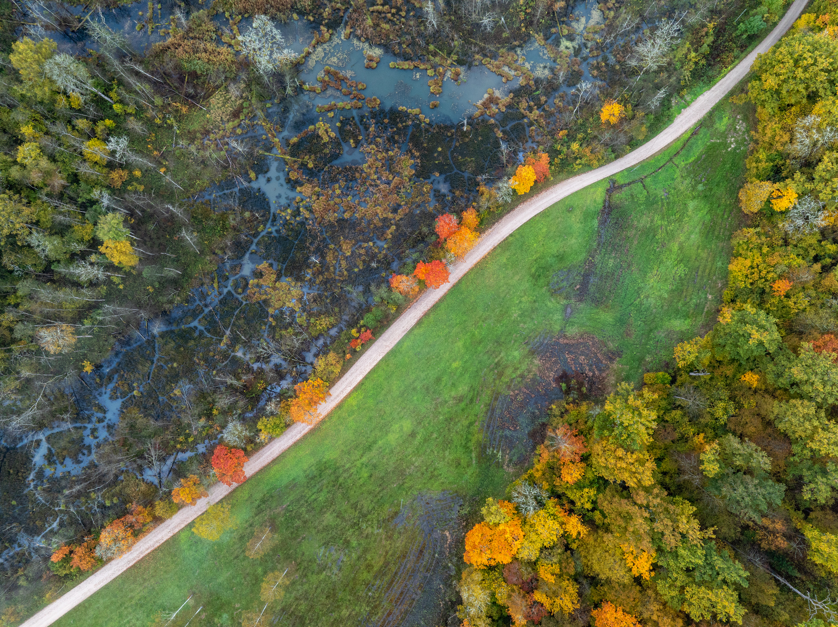 , Гордон Николай