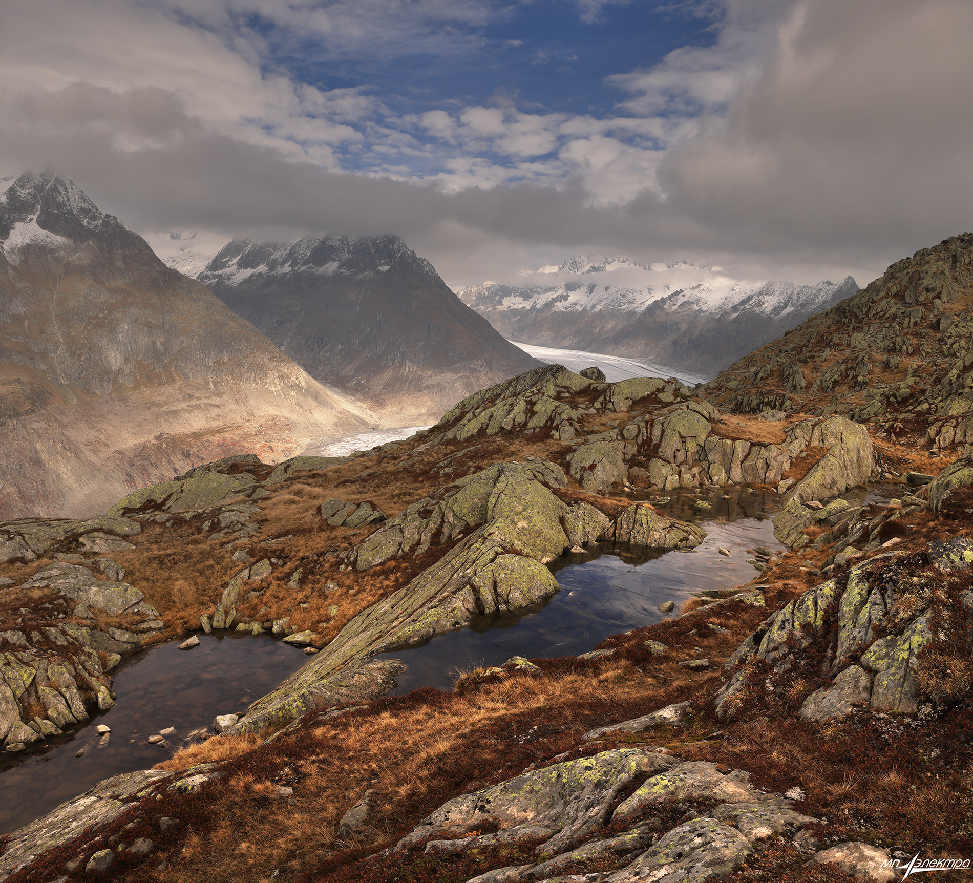 swiss, Матвеев Николай