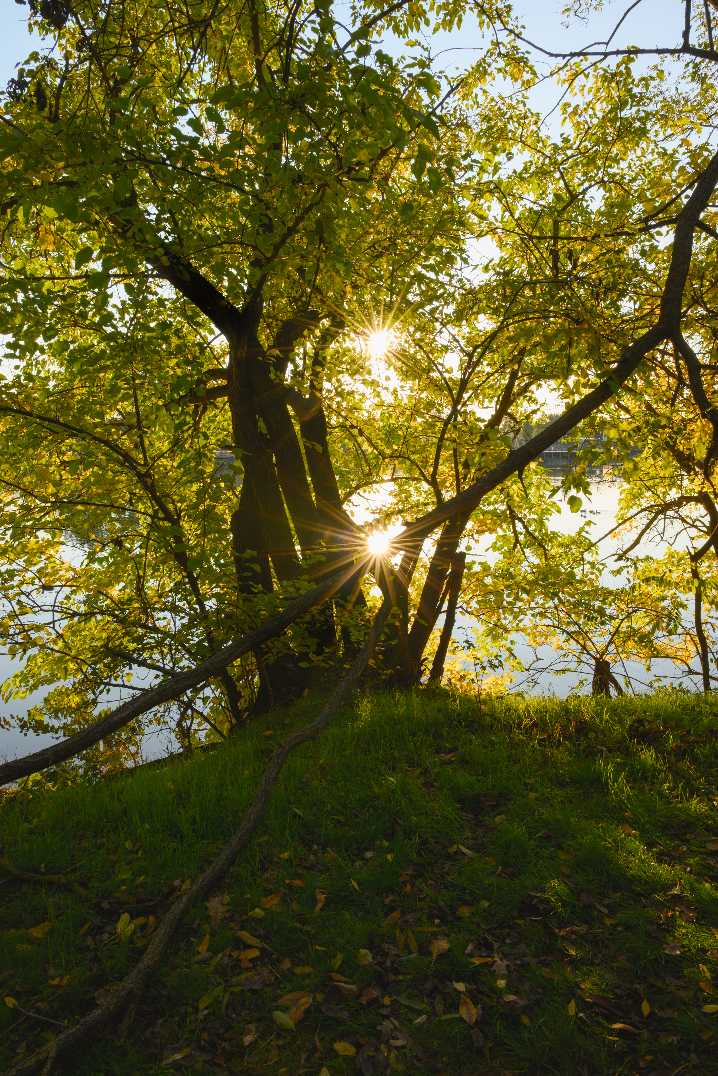 осень, лучи солнца, Пустынников Михаил
