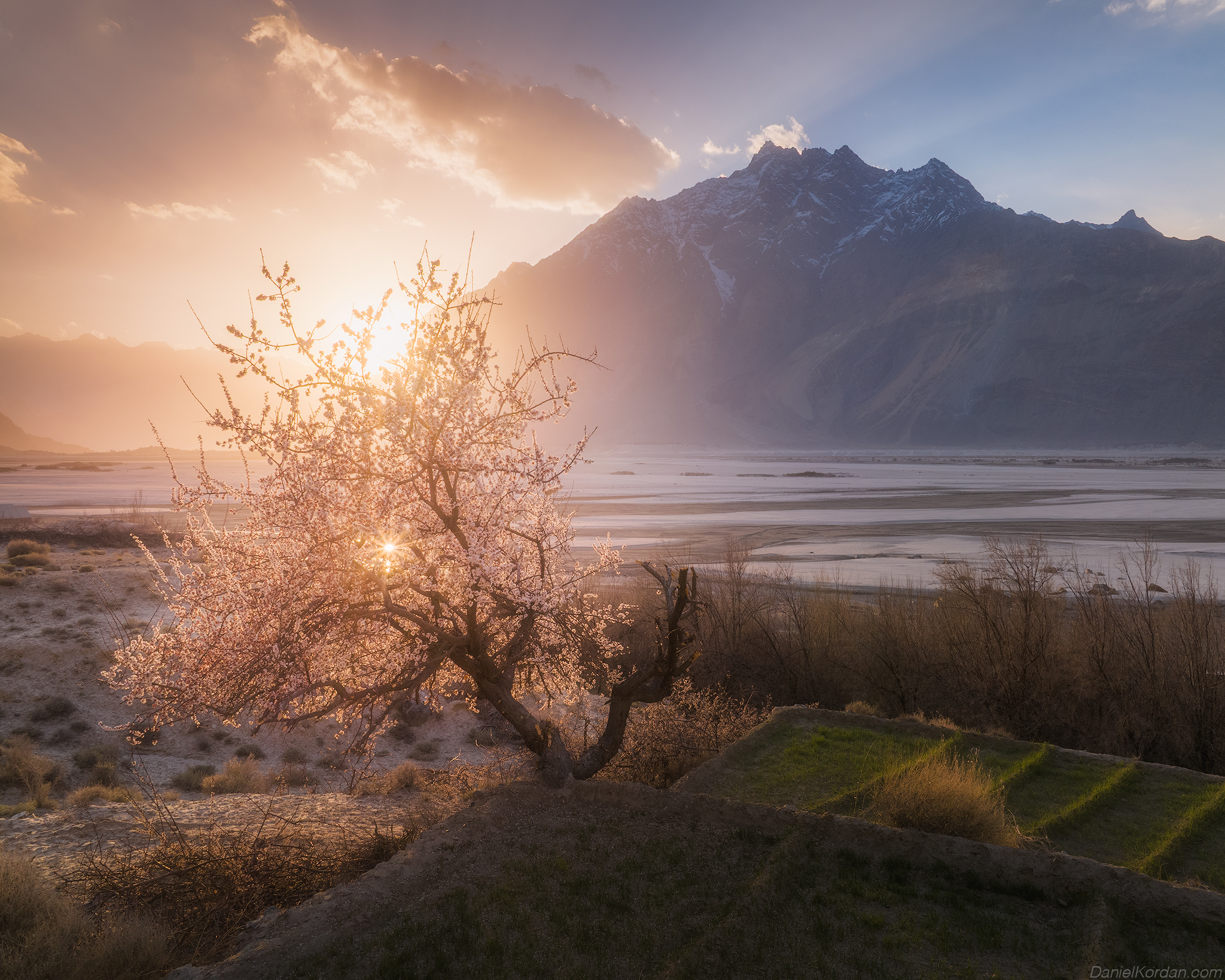 , Даниил Коржонов