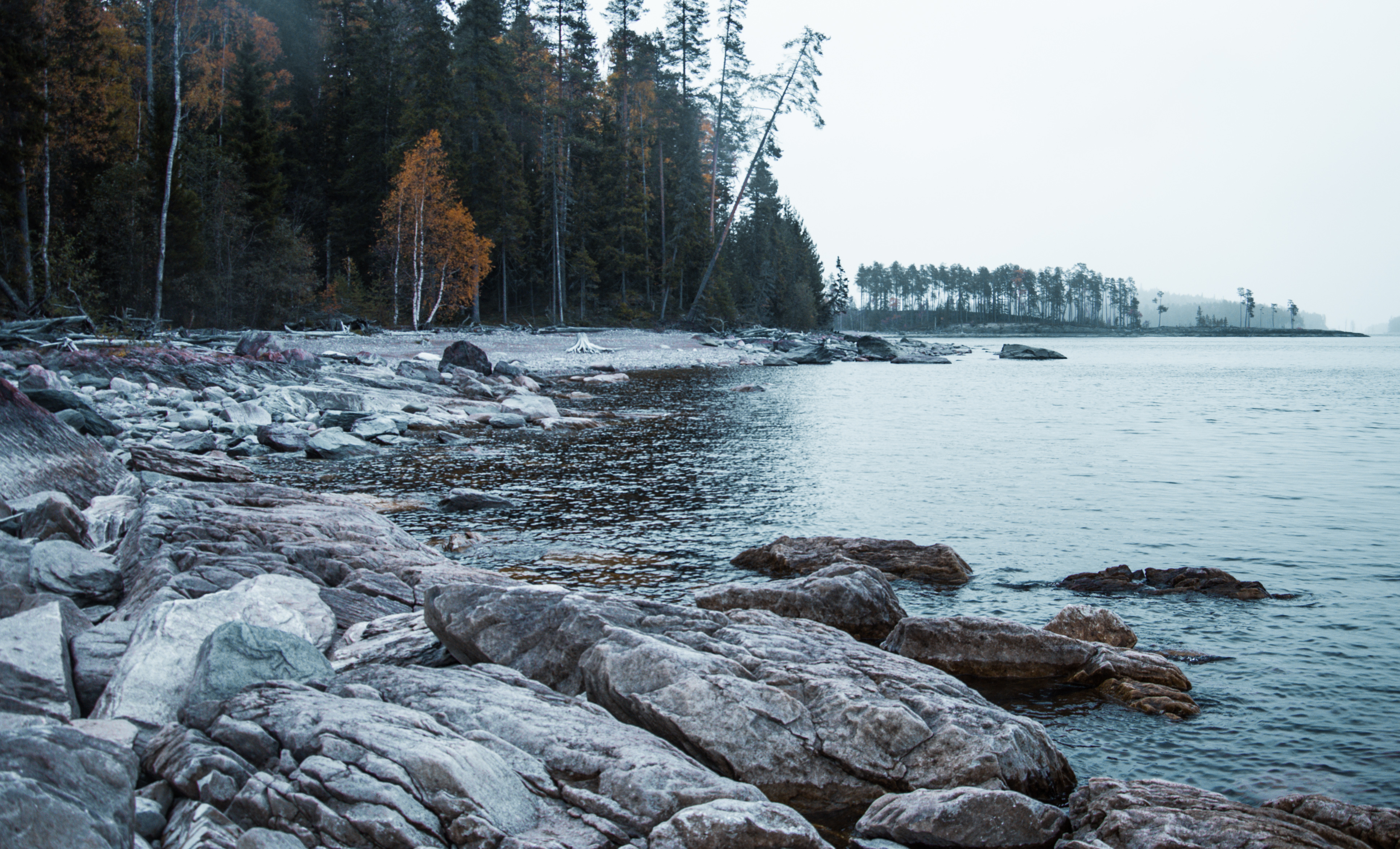 , Андрей Куликов