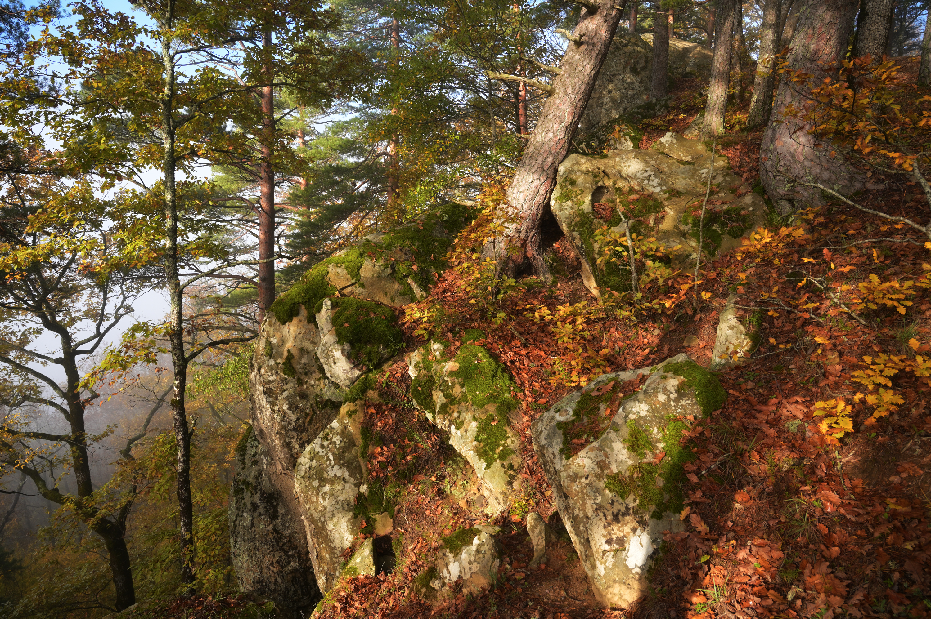 , Сергей Тихомиров