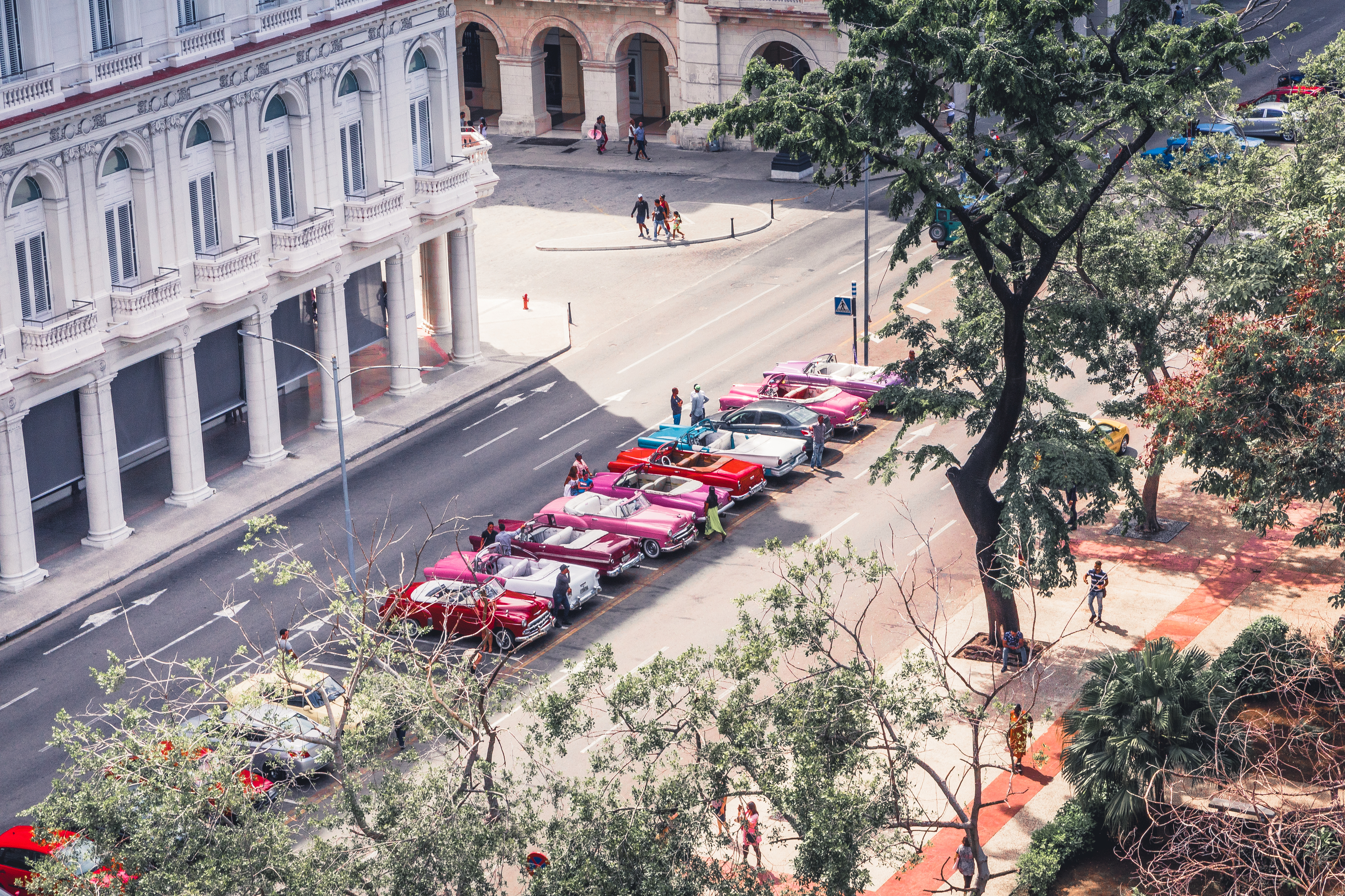 , Трепольский Дмитрий