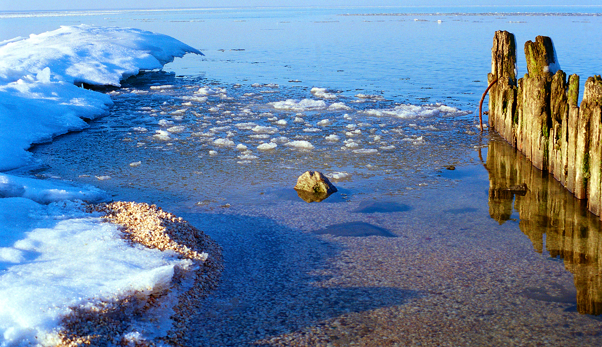 , Андрей Петросян