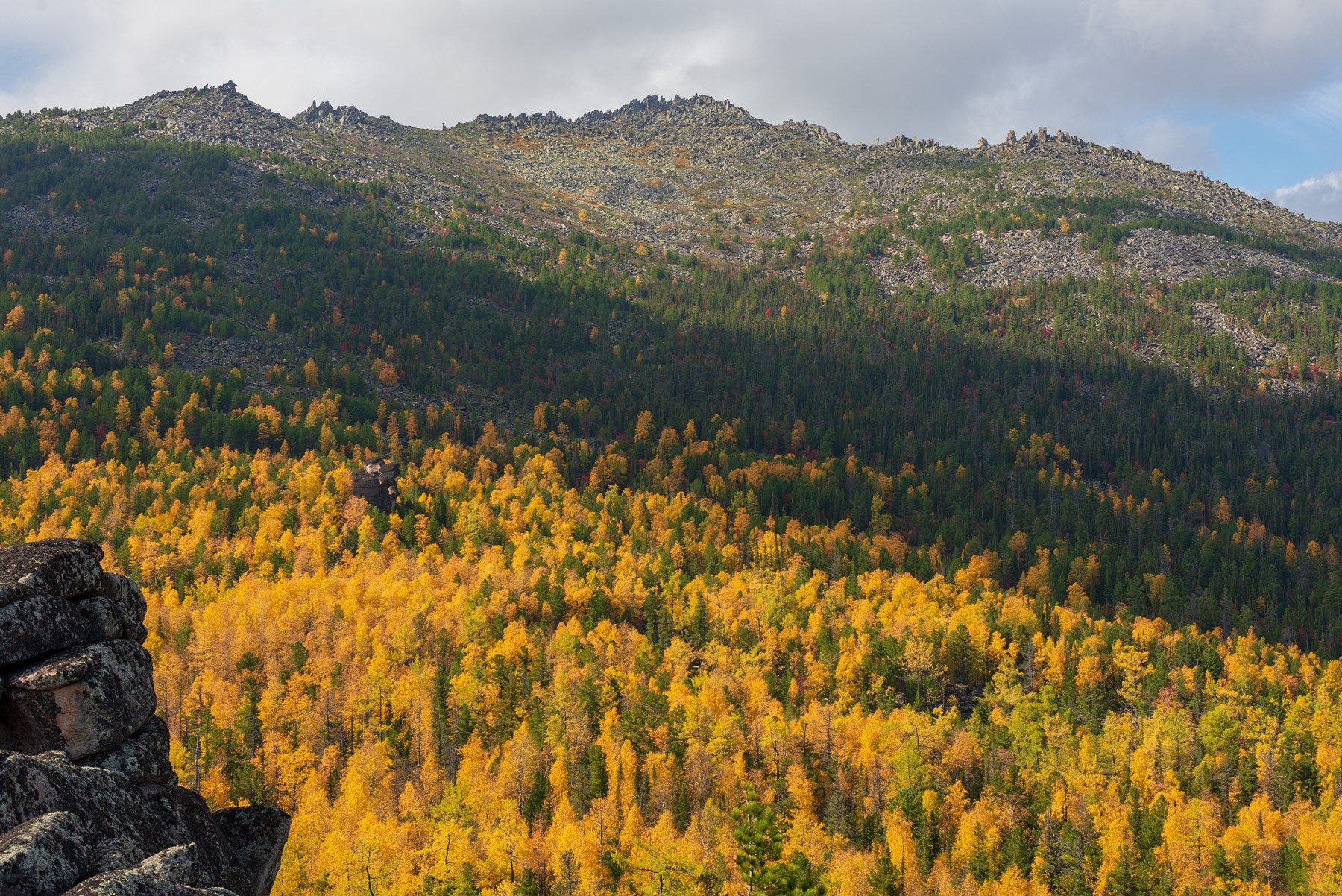 кутурчин осень, Беляев Юрий