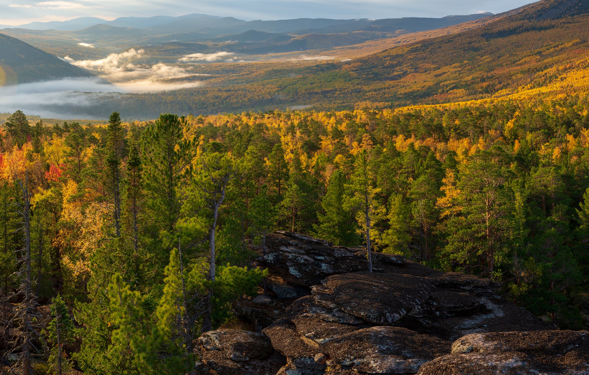 кутурчин осень, Беляев Юрий