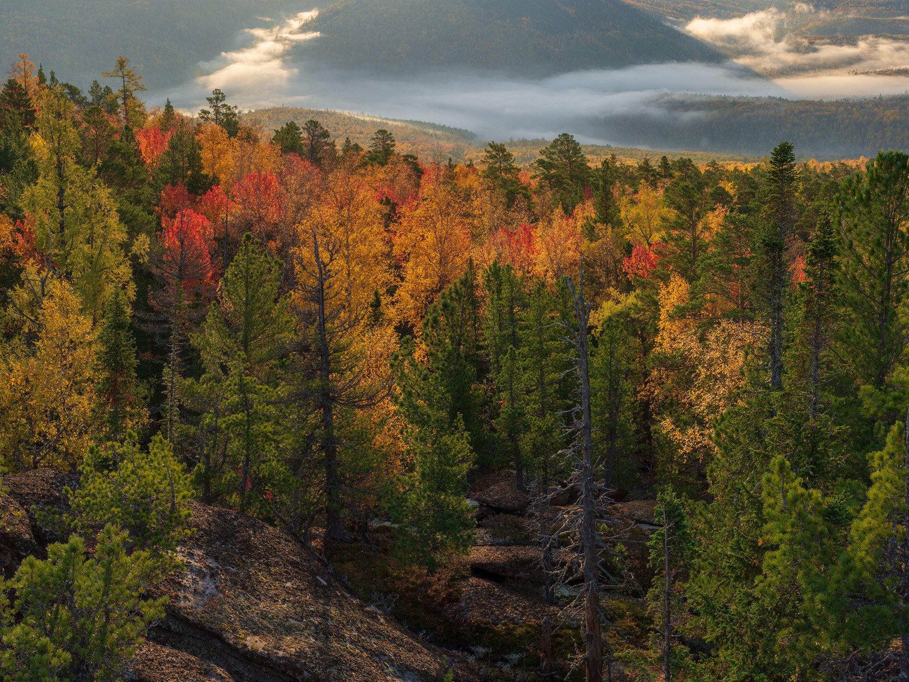 кутурчин осень, Беляев Юрий