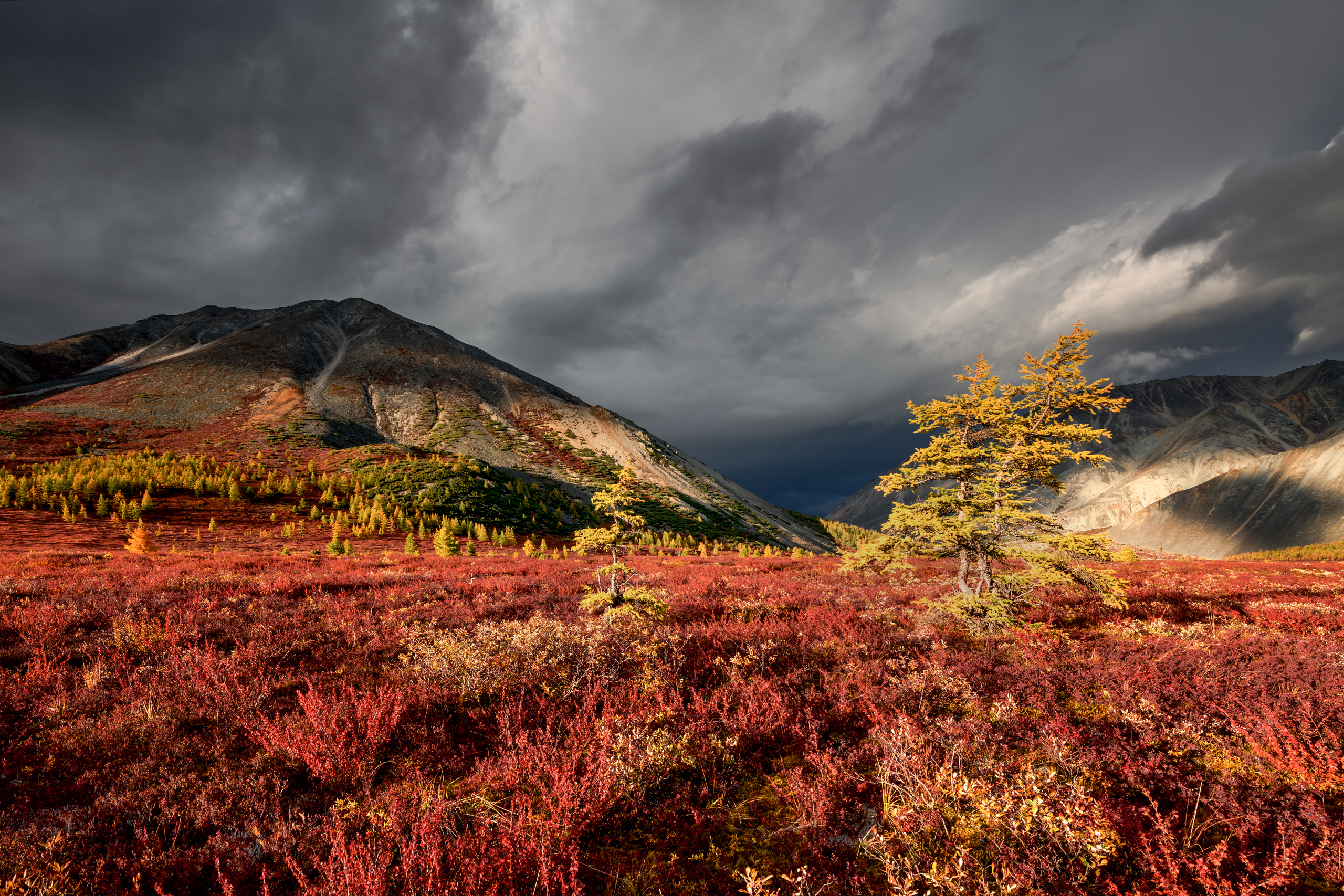 якутия, Евдокимов Максим