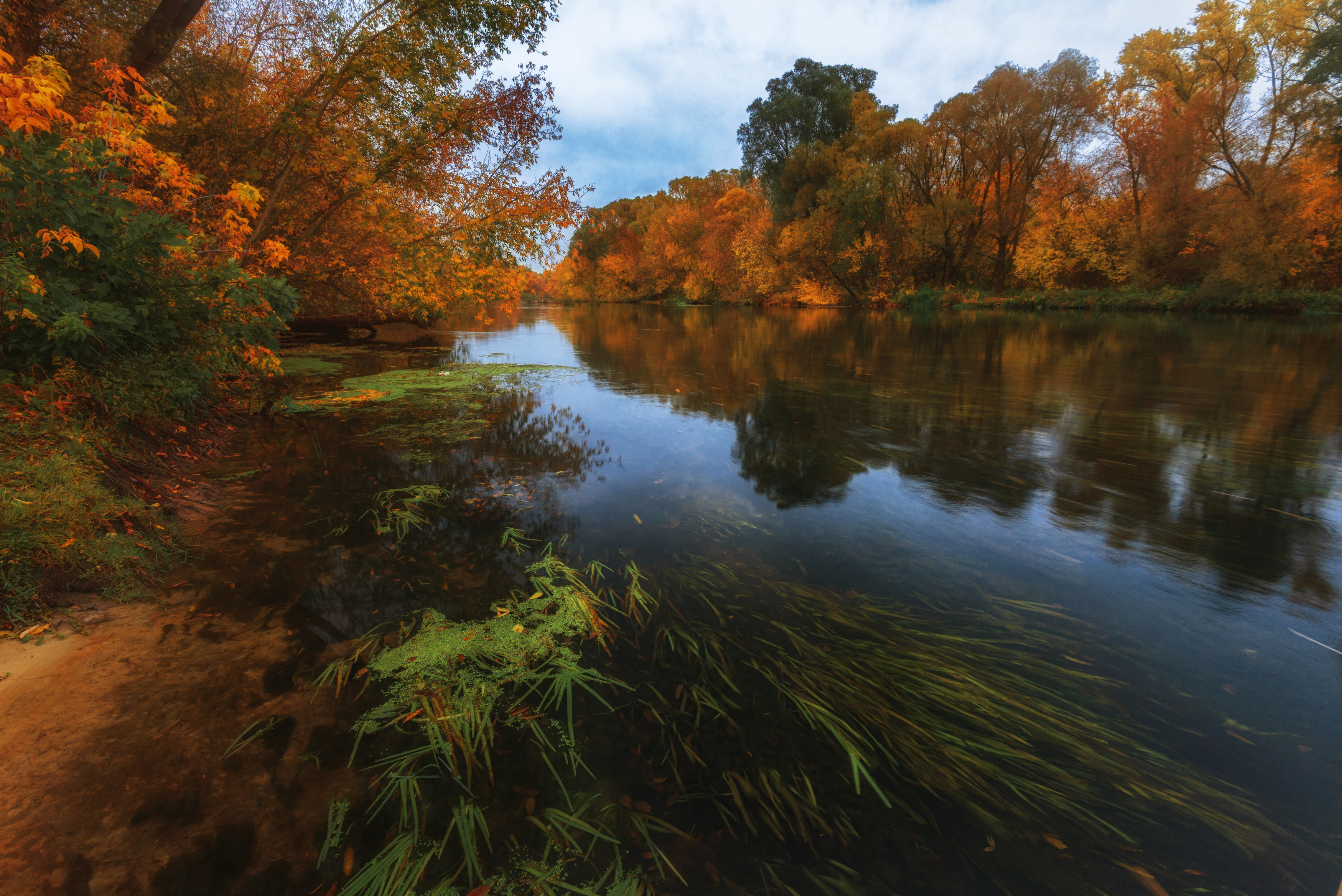 , Павел Абакумов
