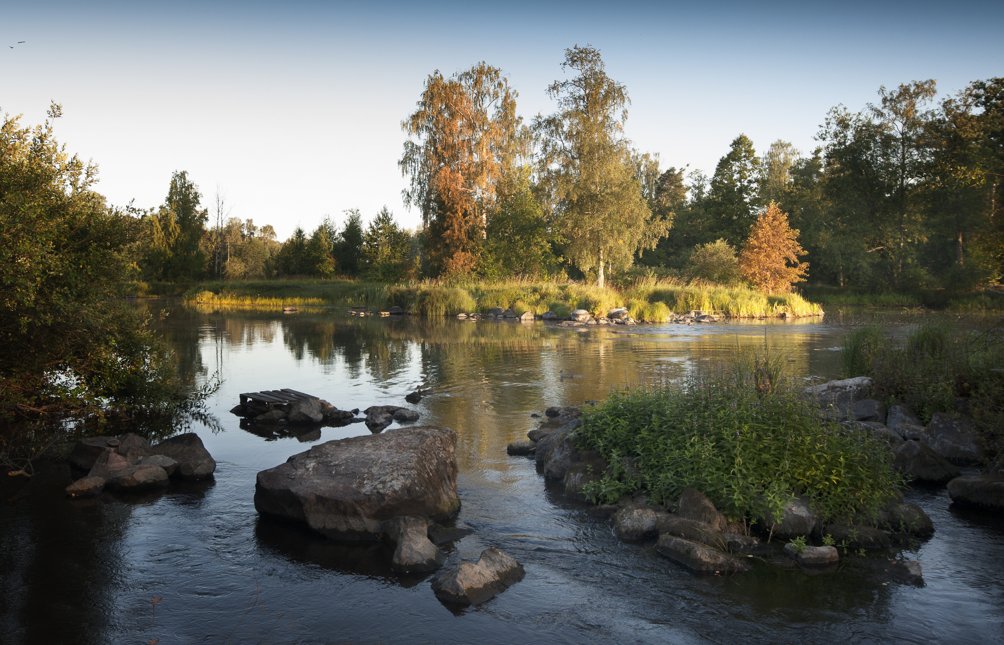 , Георгий Сапожников